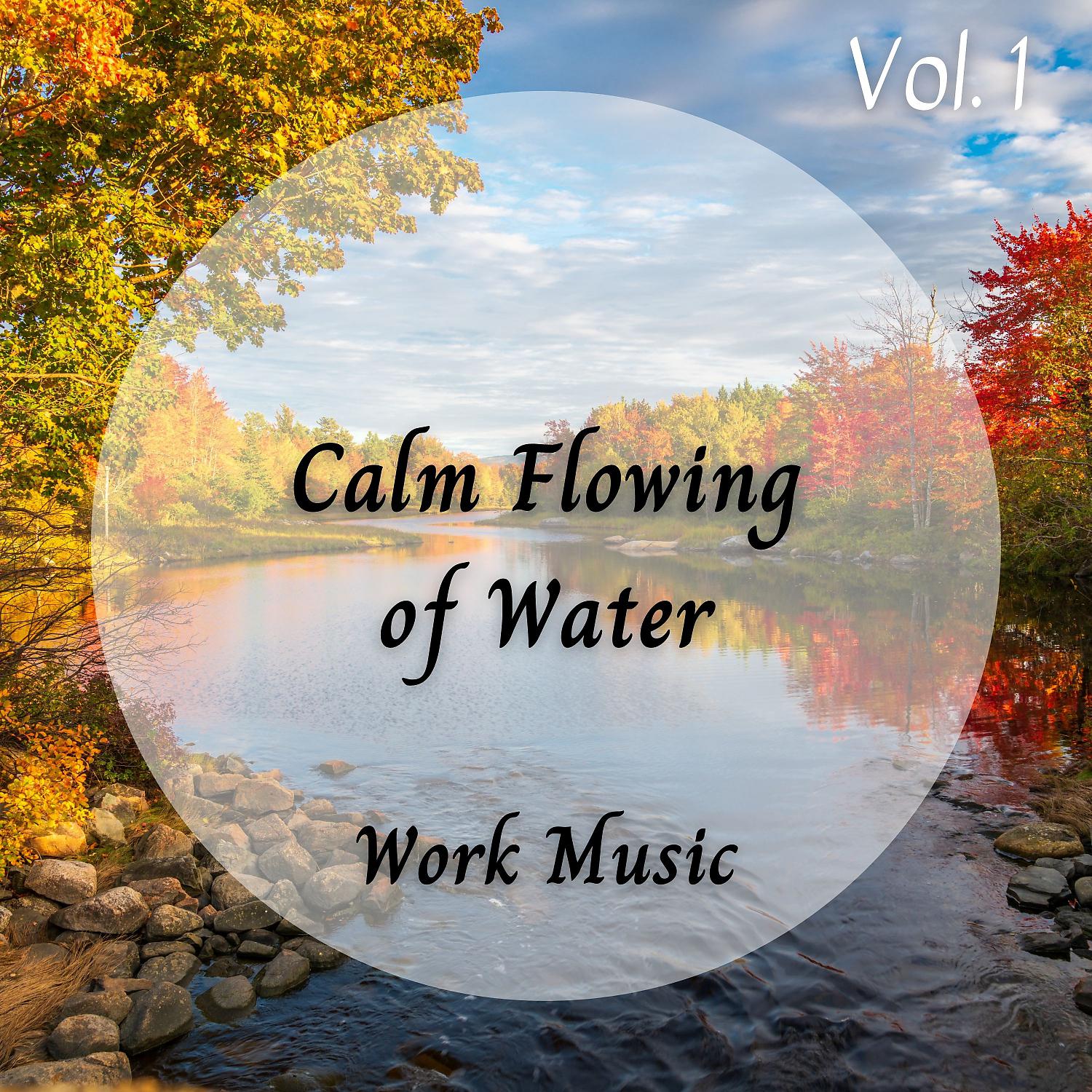Постер альбома Work Music: Calm Flowing of Water Vol. 1