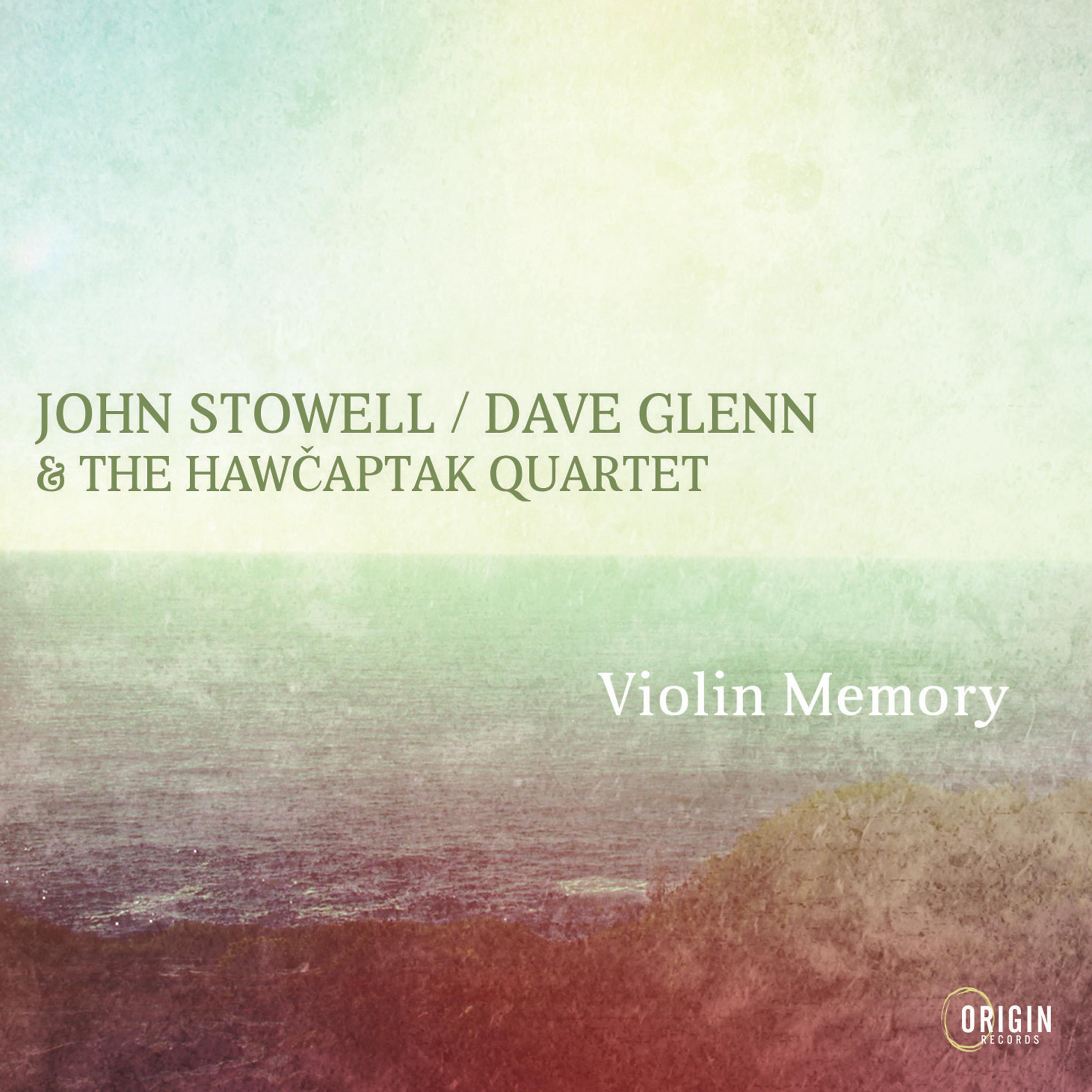 Постер альбома Violin Memory