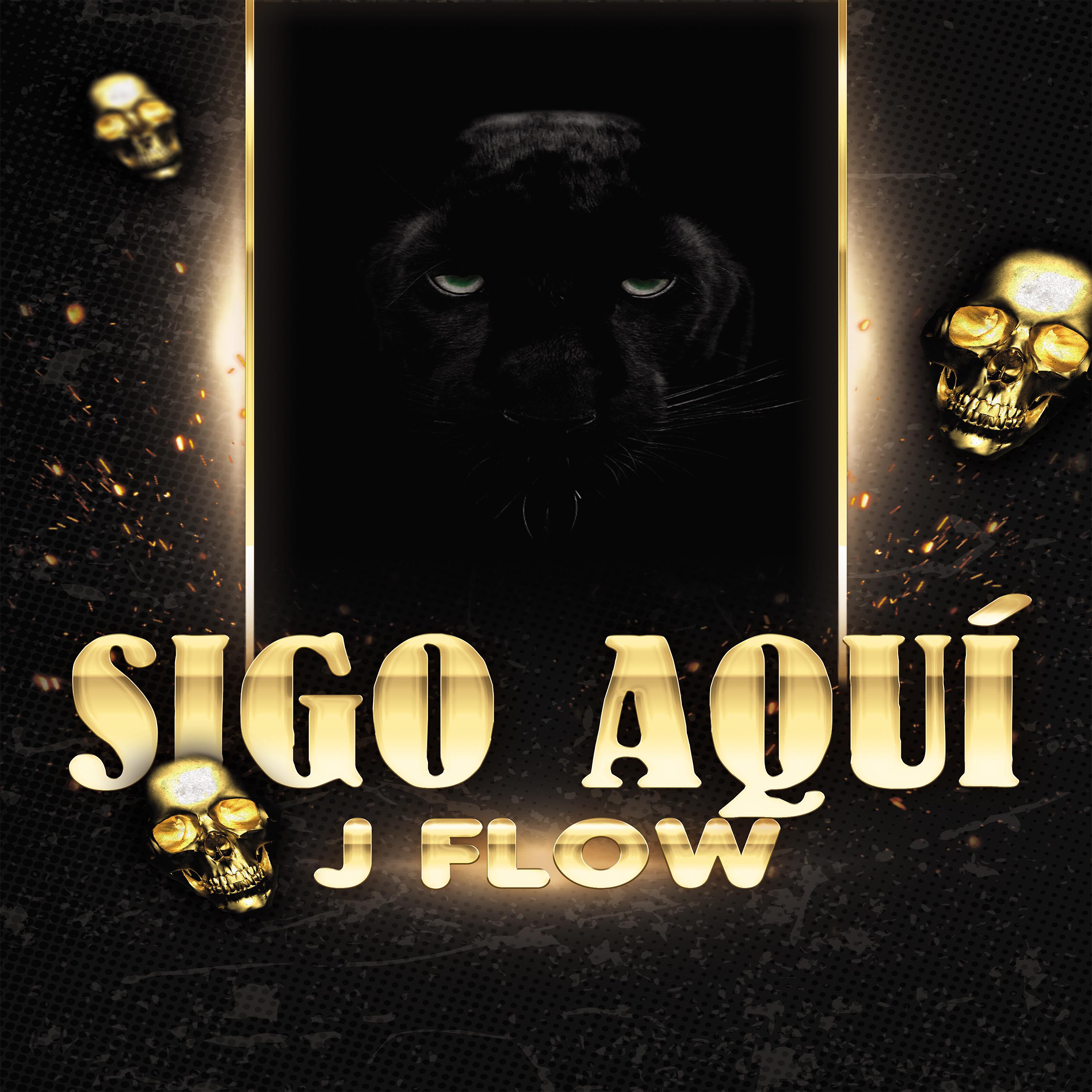 Постер альбома Sigo aquí