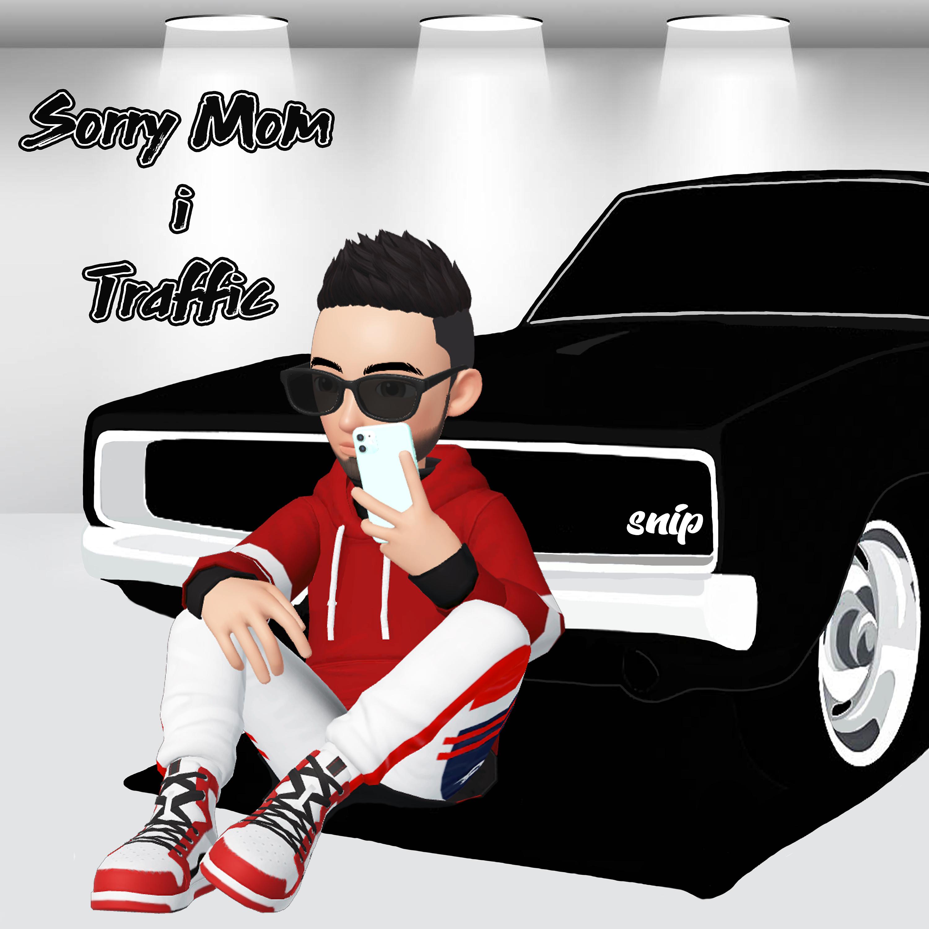 Постер альбома Sorry Mom I Traffic