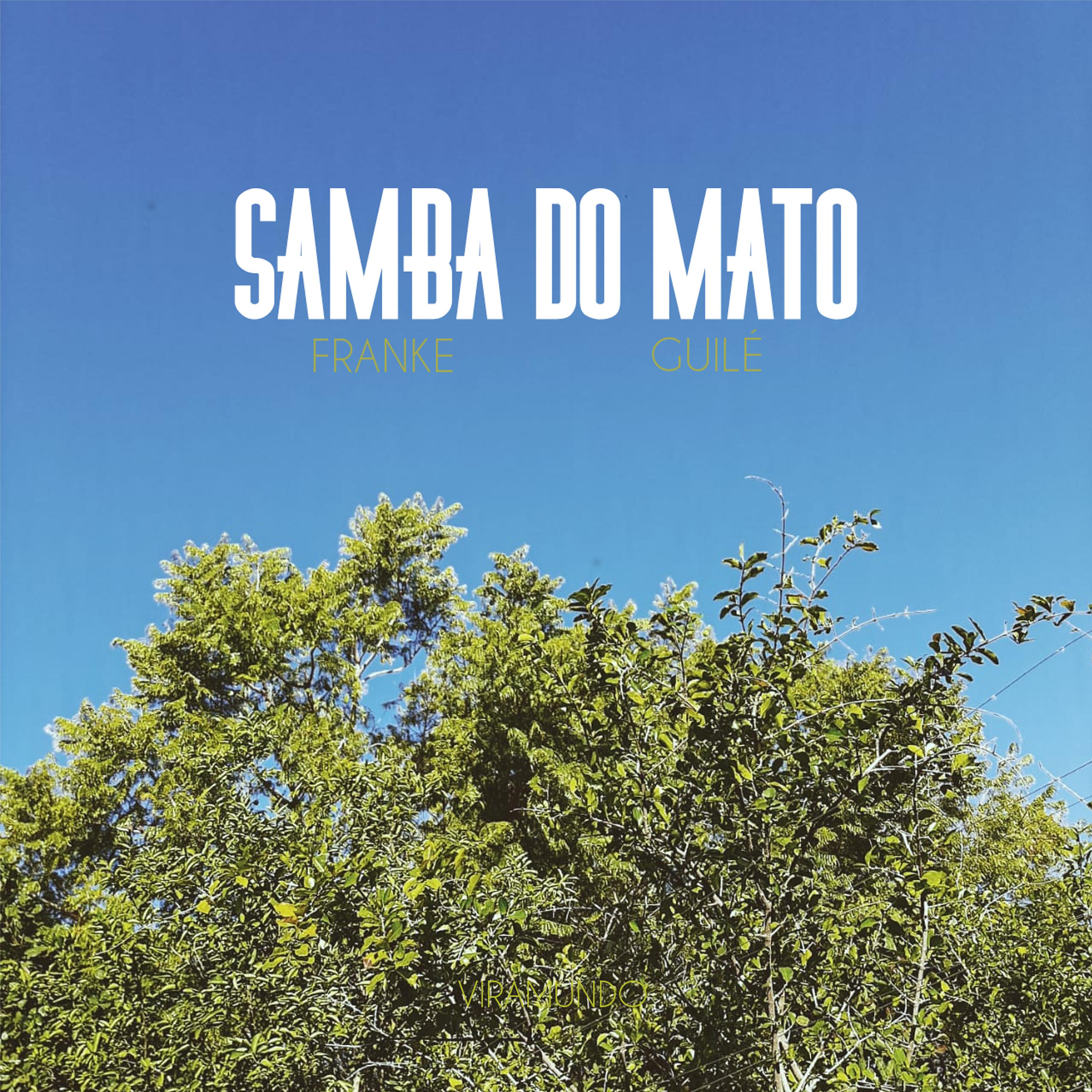 Постер альбома Samba do Mato