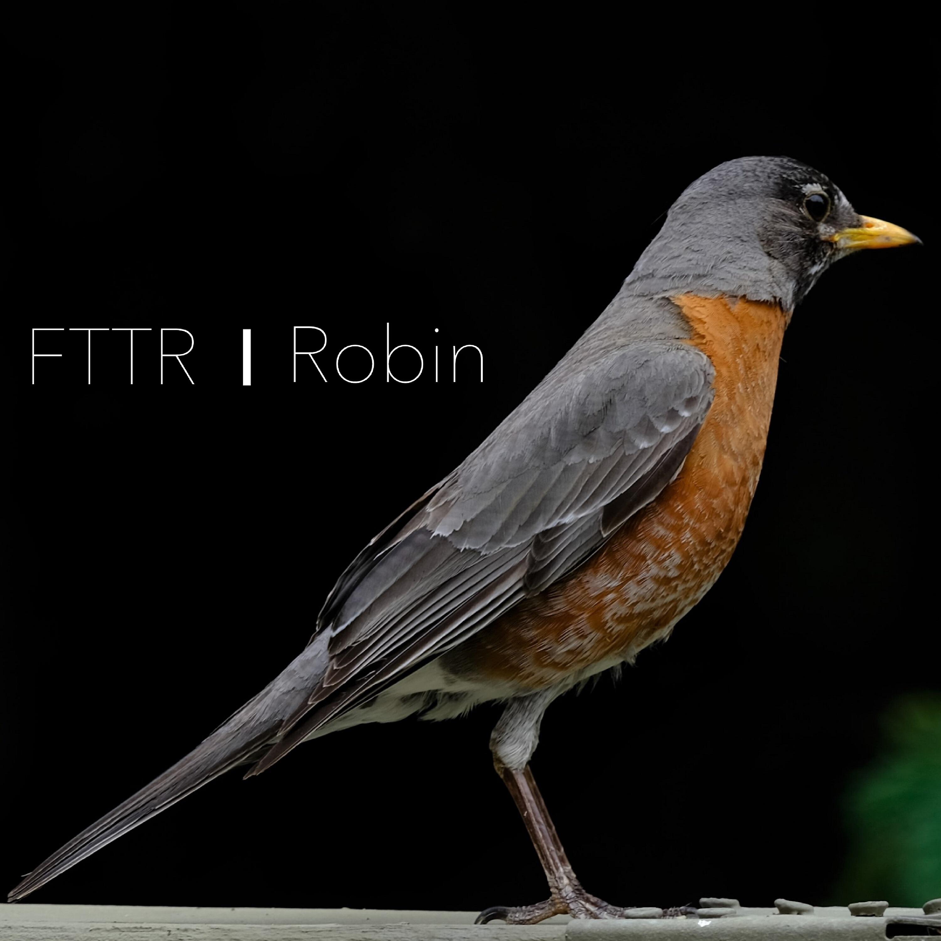 FTTR - Nomads