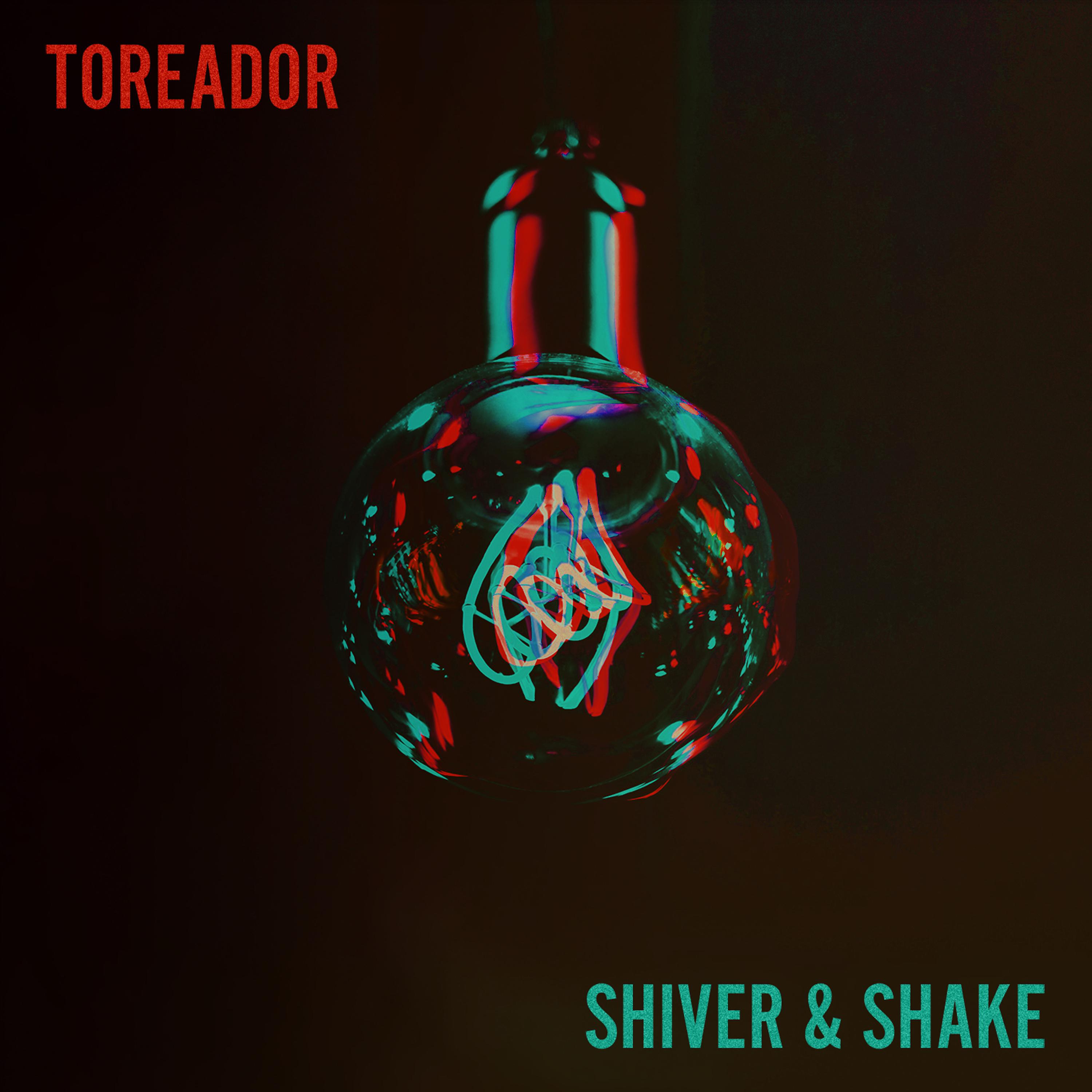 Постер альбома Shiver & Shake
