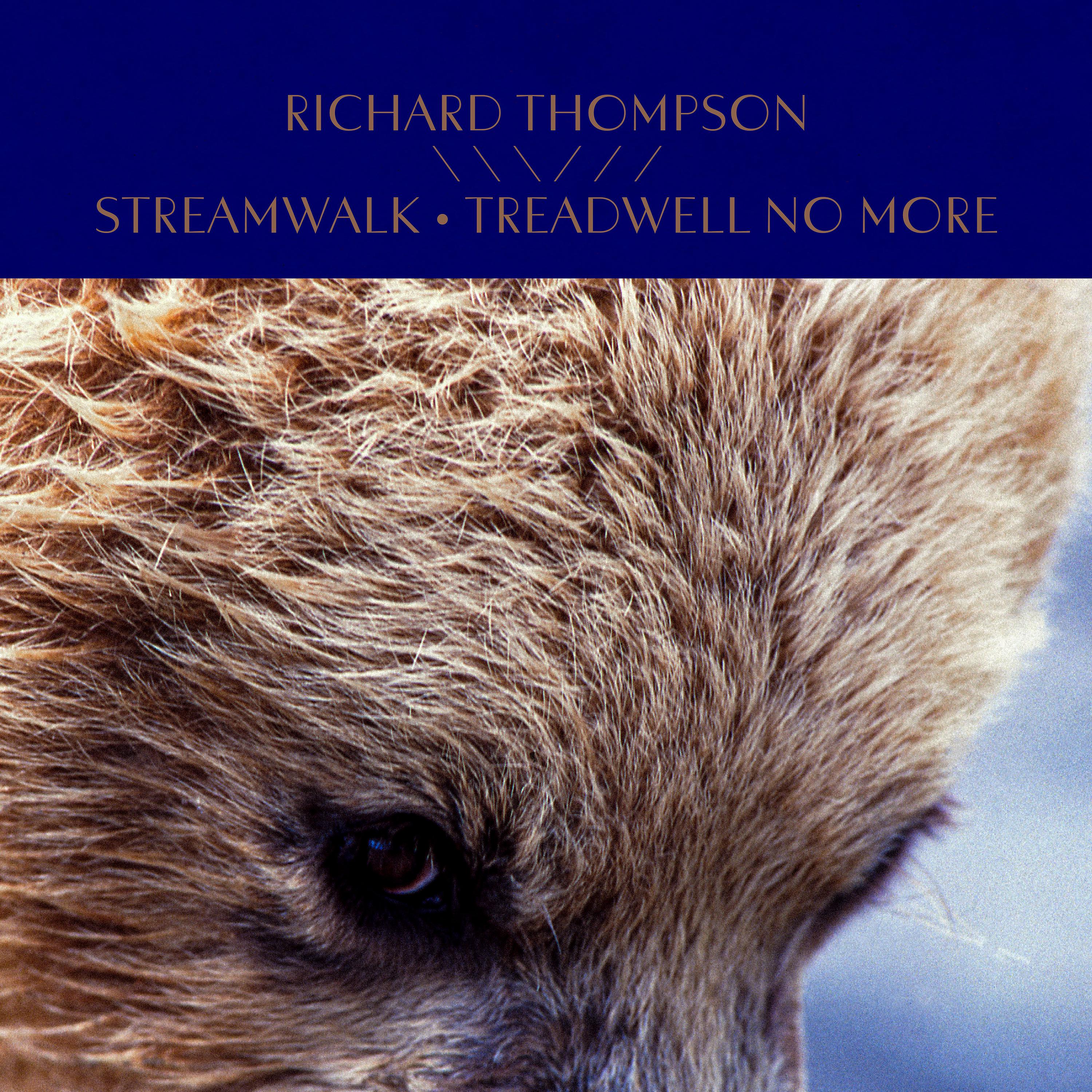 Постер альбома Streamwalk / Treadwell No More