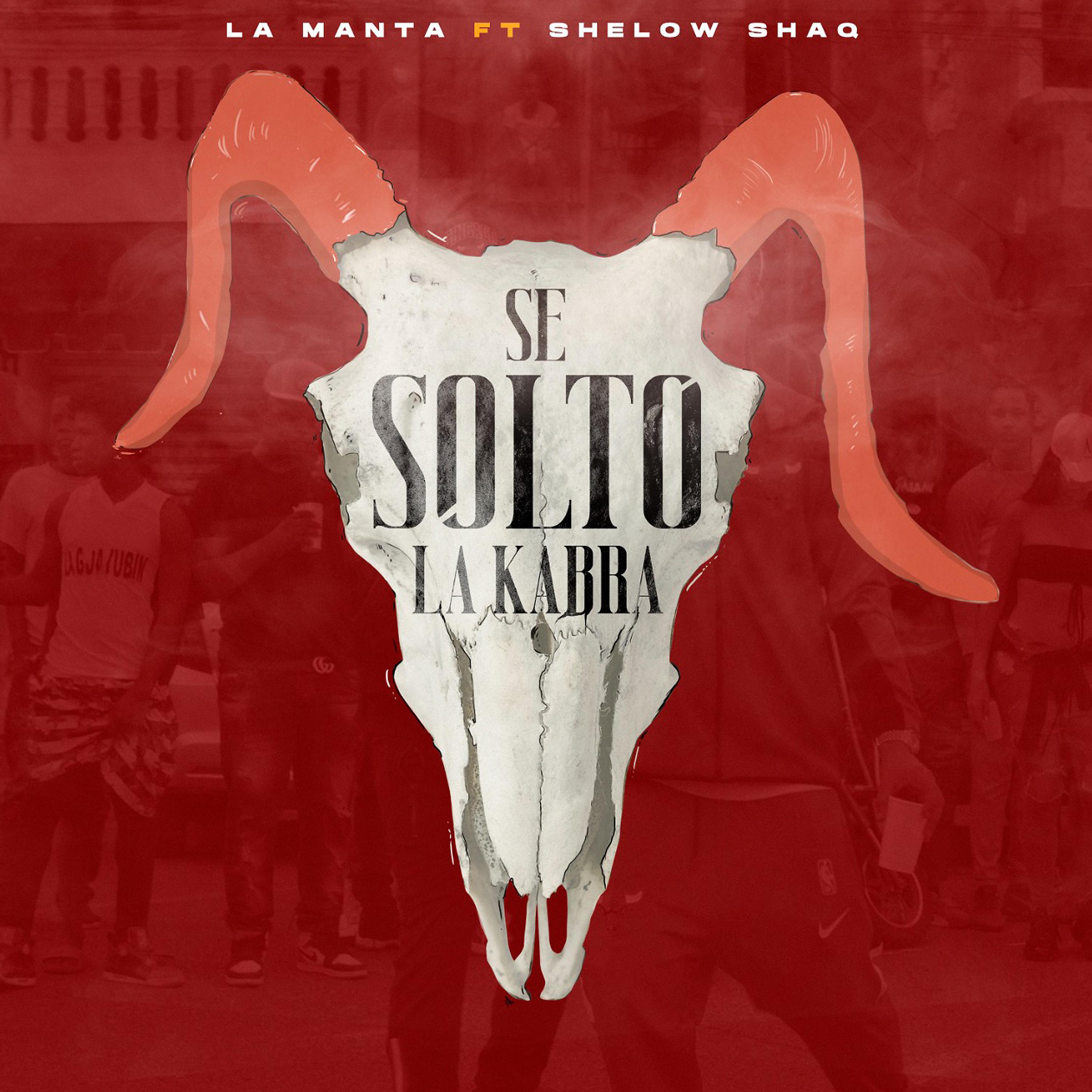 Постер альбома Se Solto la Kabra