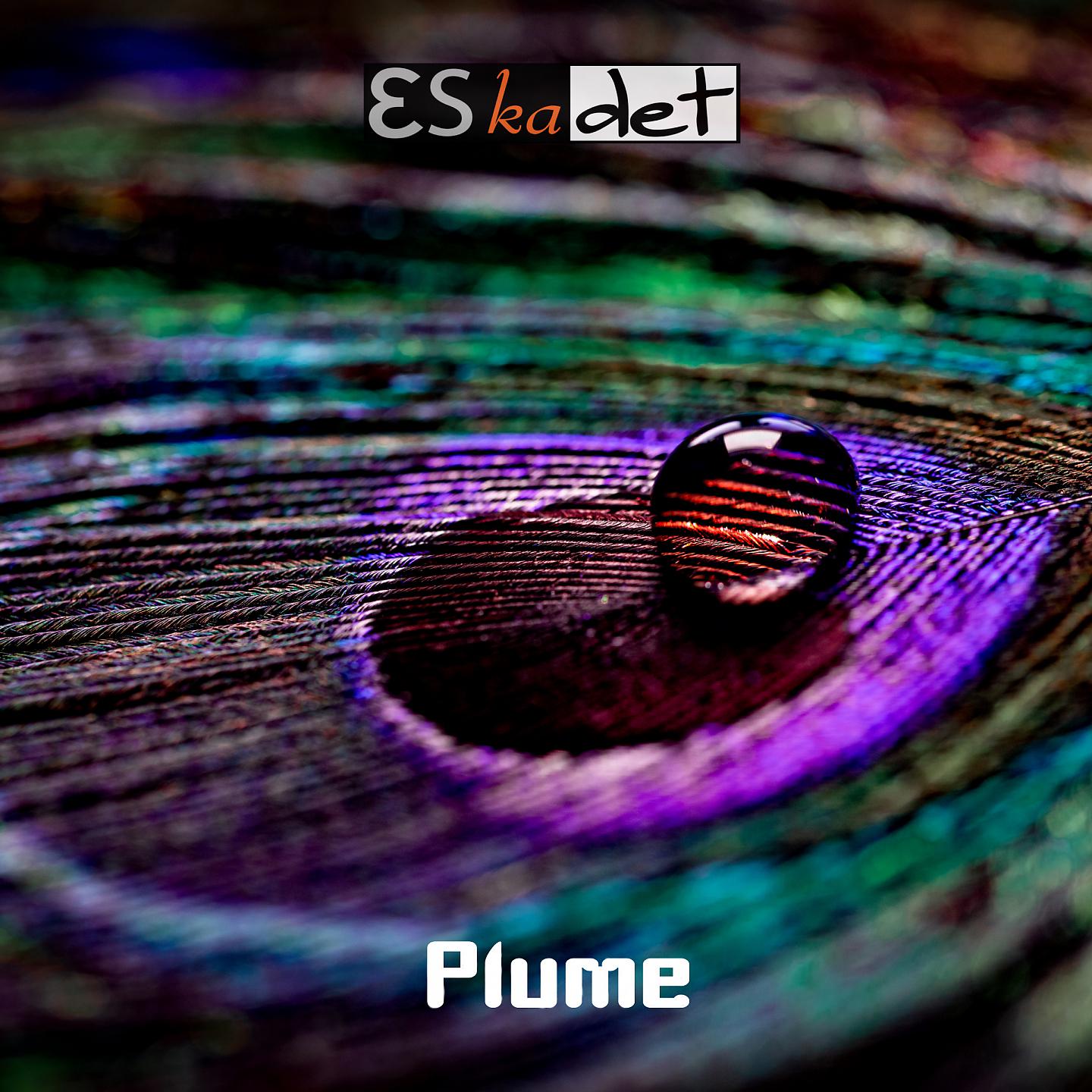 Постер альбома Plume