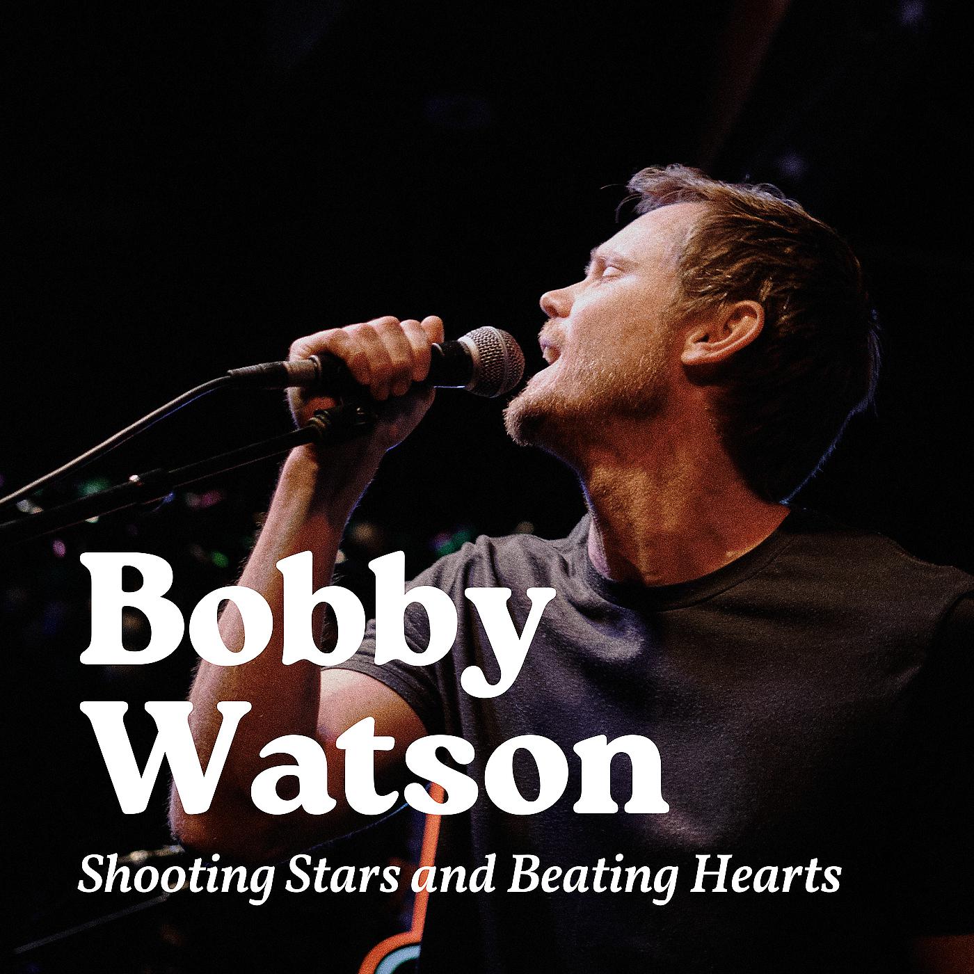 Постер альбома Shooting Stars and Beating Hearts