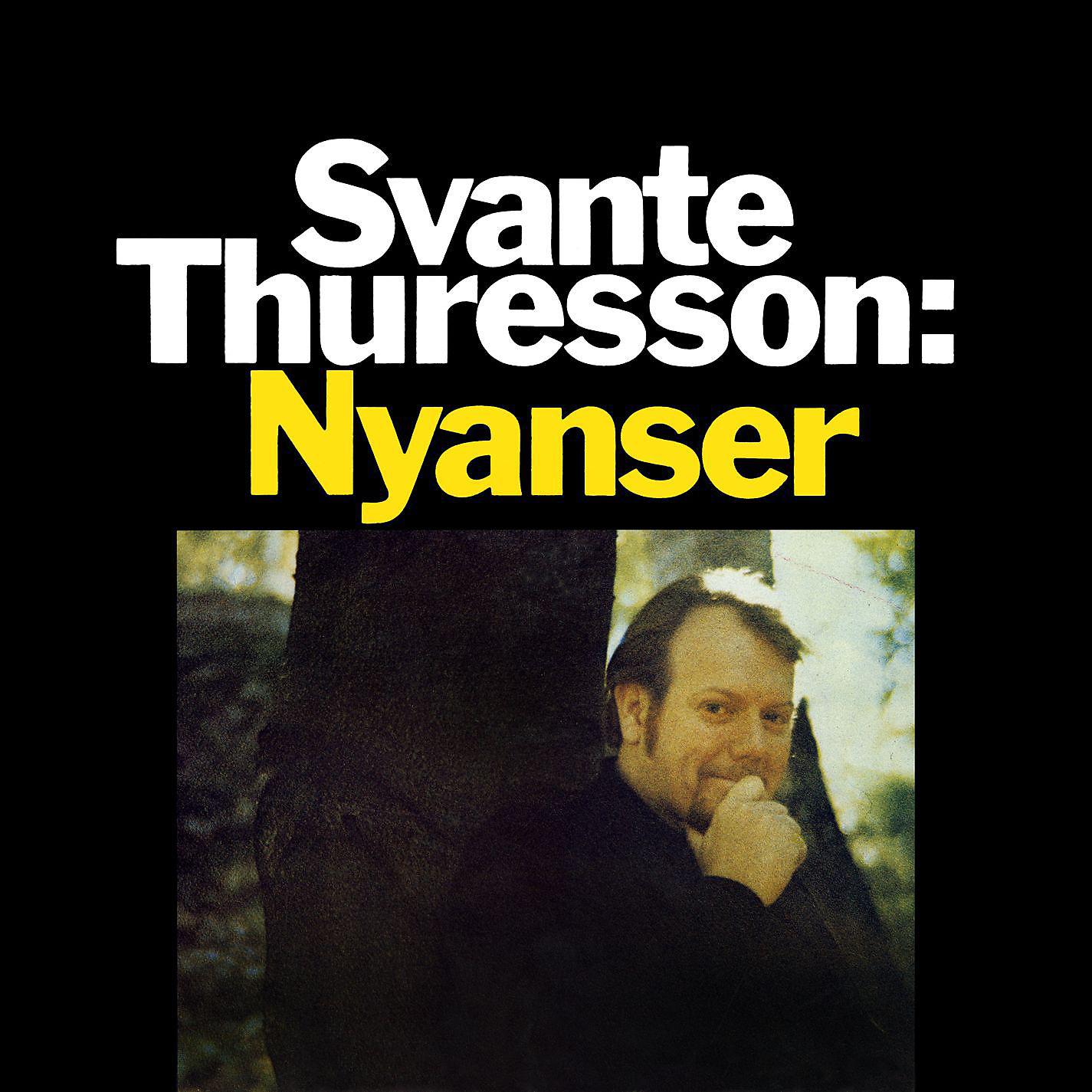 Постер альбома Nyanser