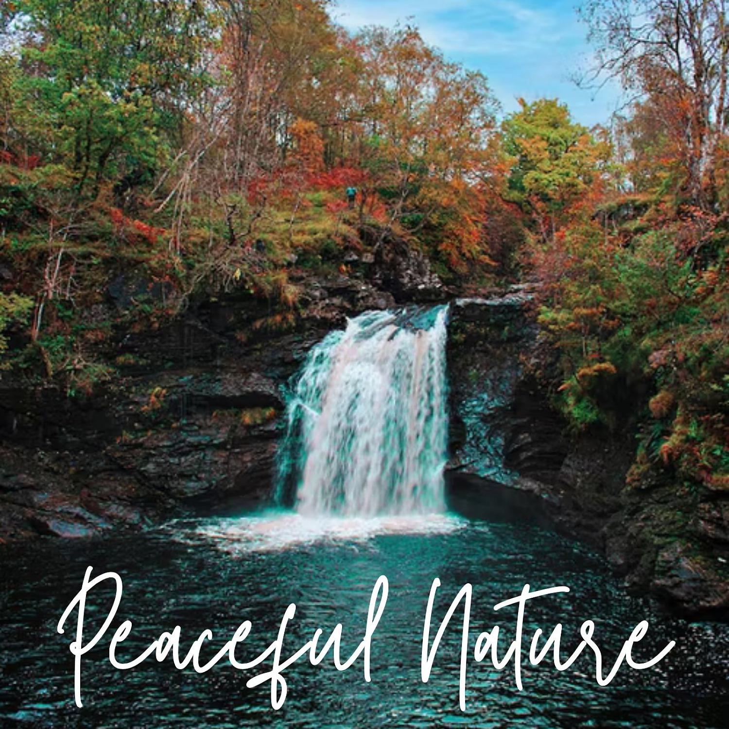 Постер альбома Peaceful Nature