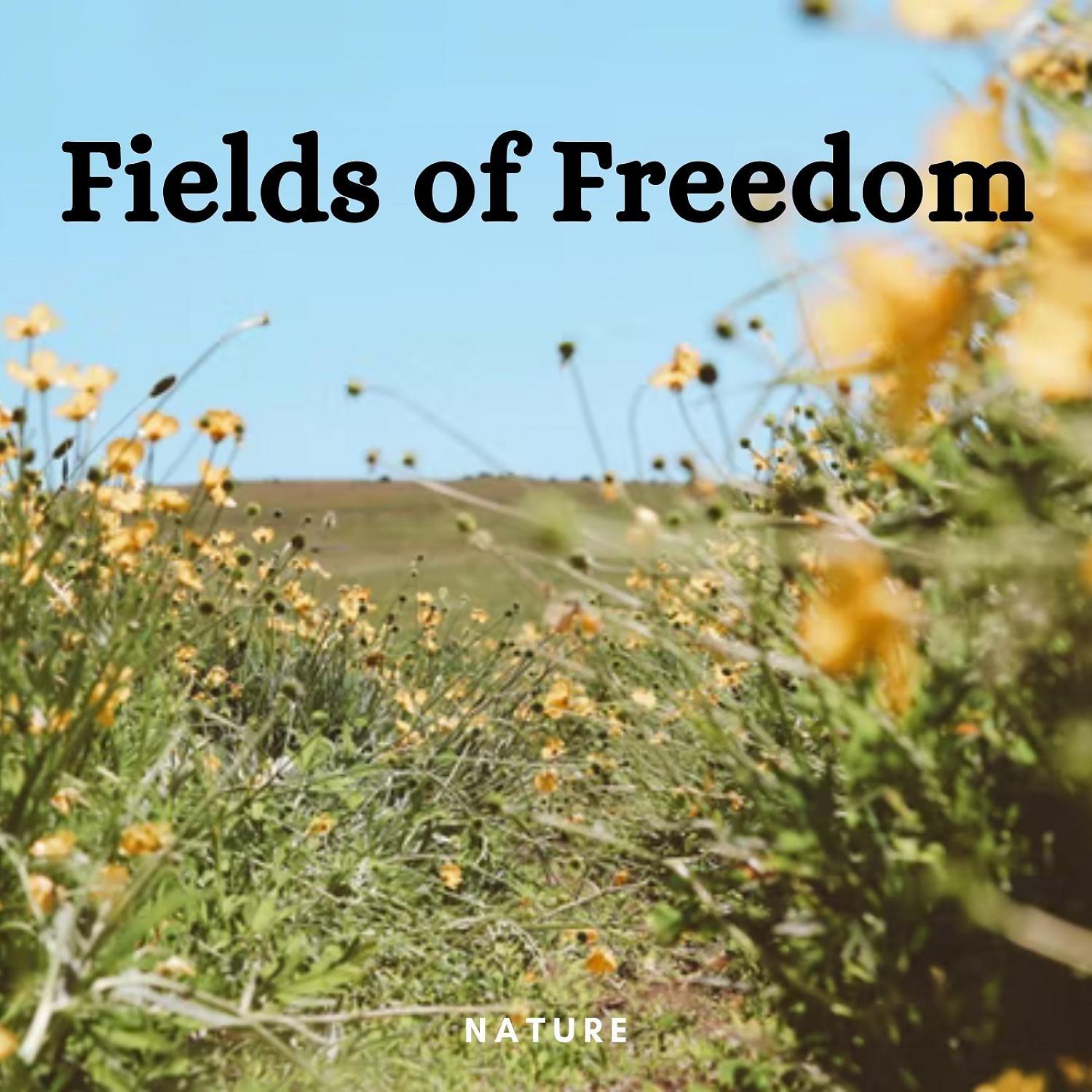 Постер альбома Nature: Fields of Freedom