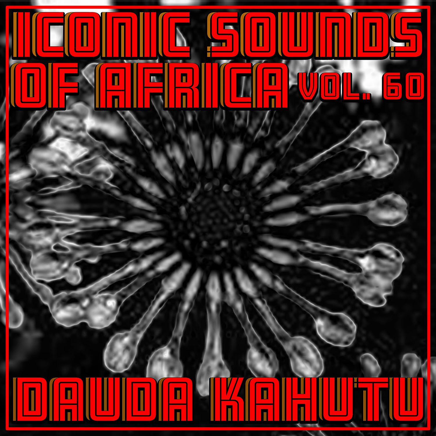 Постер альбома Iconic Sounds of Africa Vol, 60