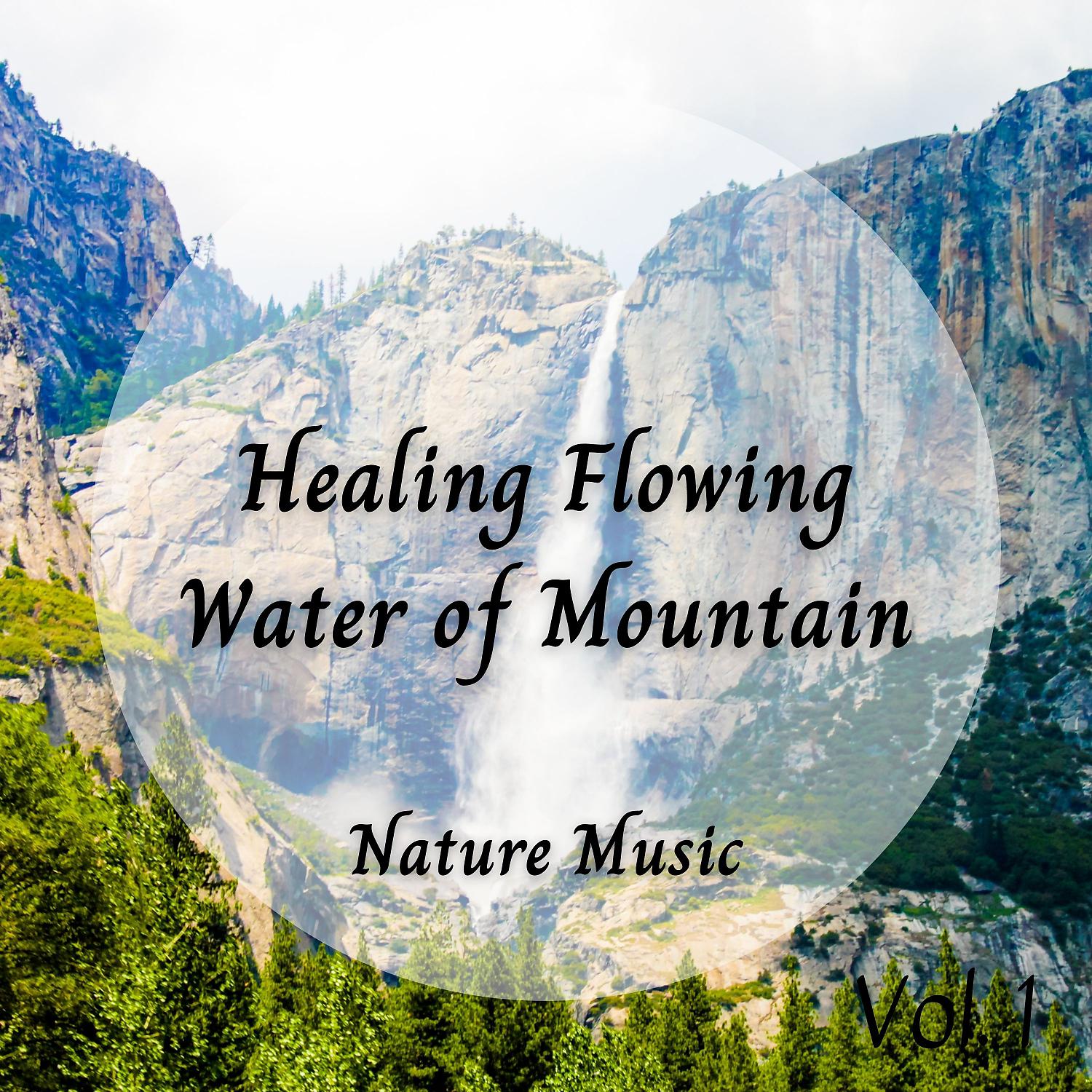 Постер альбома Nature Music: Healing Flowing Water of Mountain Vol. 1