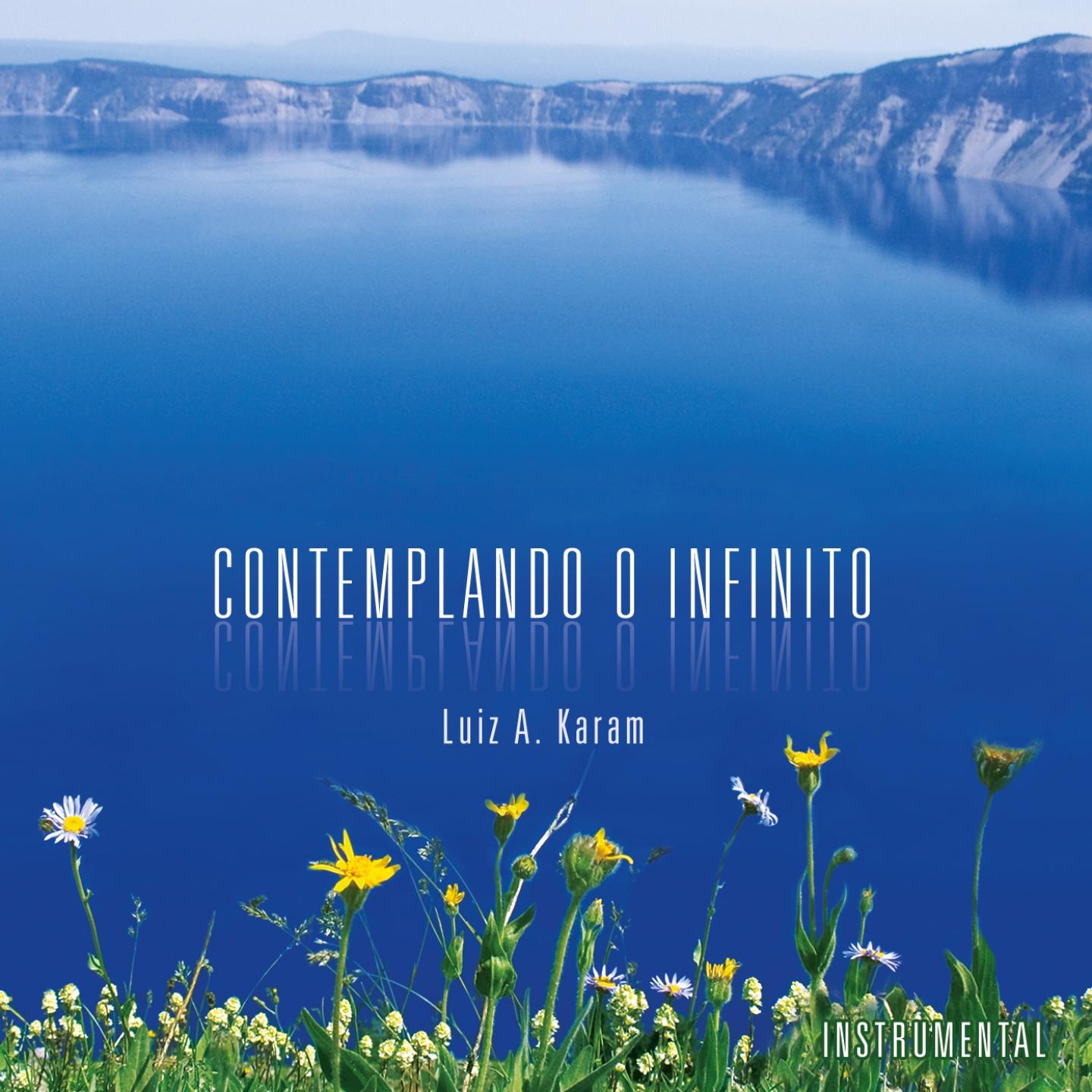 Постер альбома Contemplando o Infinito