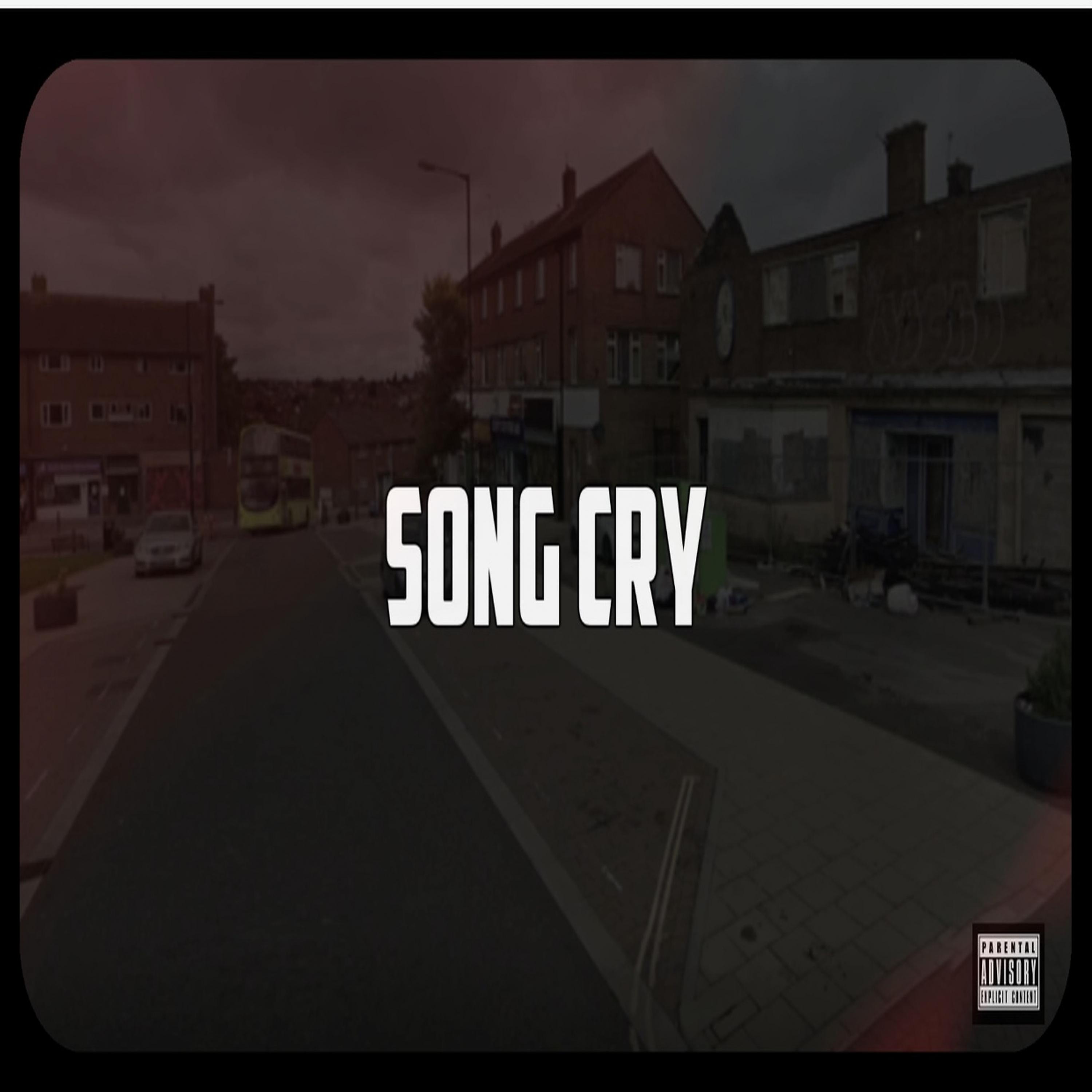 Постер альбома Song Cry