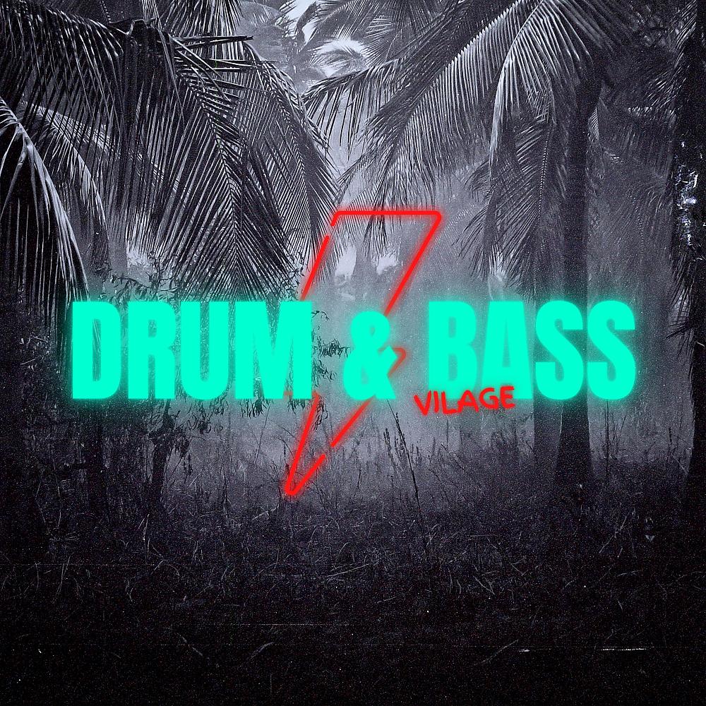 Постер альбома Drum & Bass Vilage