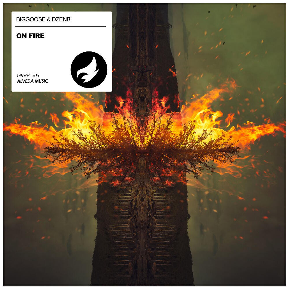 Biggoose - On Fire