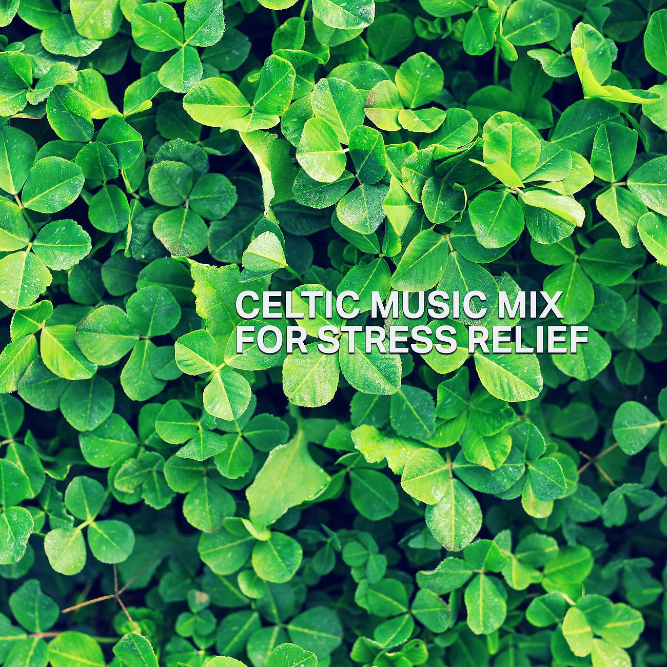 Постер альбома Celtic Music Mix for Stress Relief