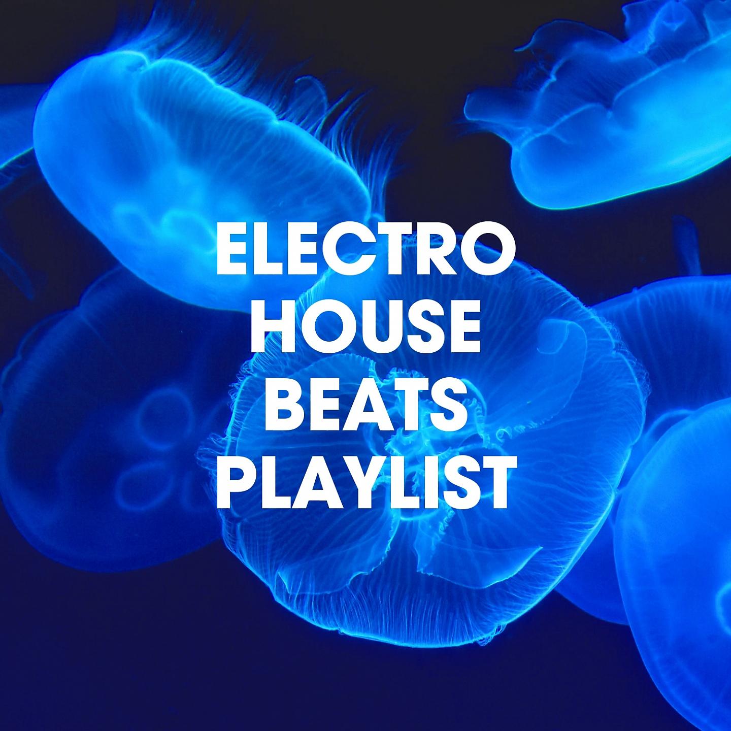Постер альбома Electro House Beats Playlist