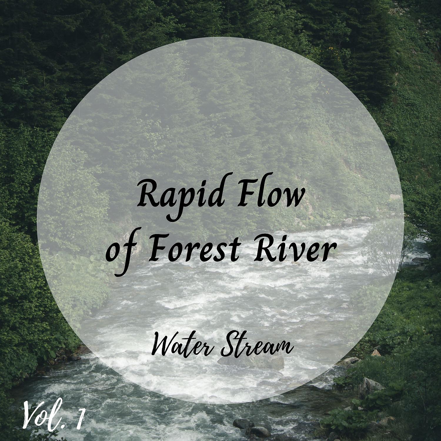 Постер альбома Water Stream: Rapid Flow of Forest River Vol. 1