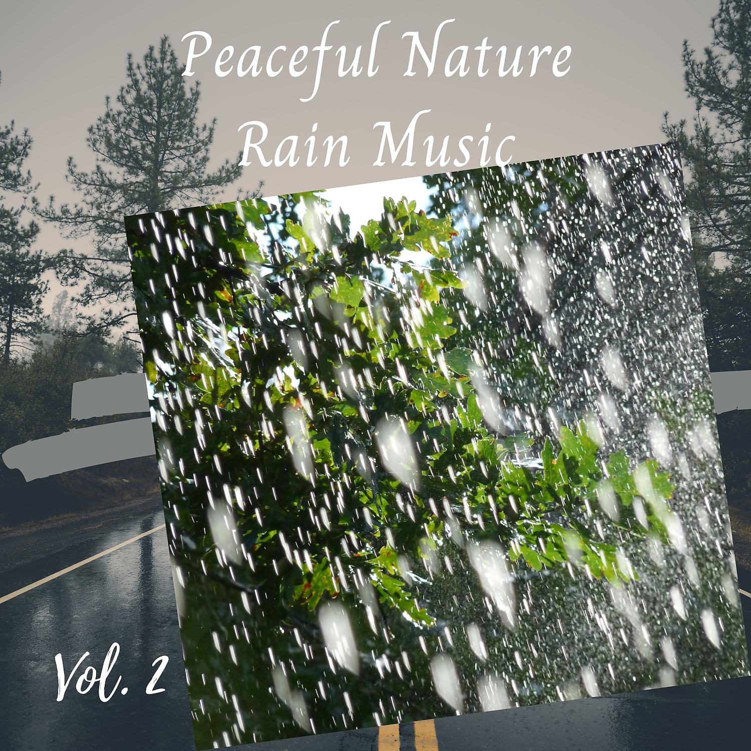 Постер альбома Peaceful Nature Rain Music Vol. 2