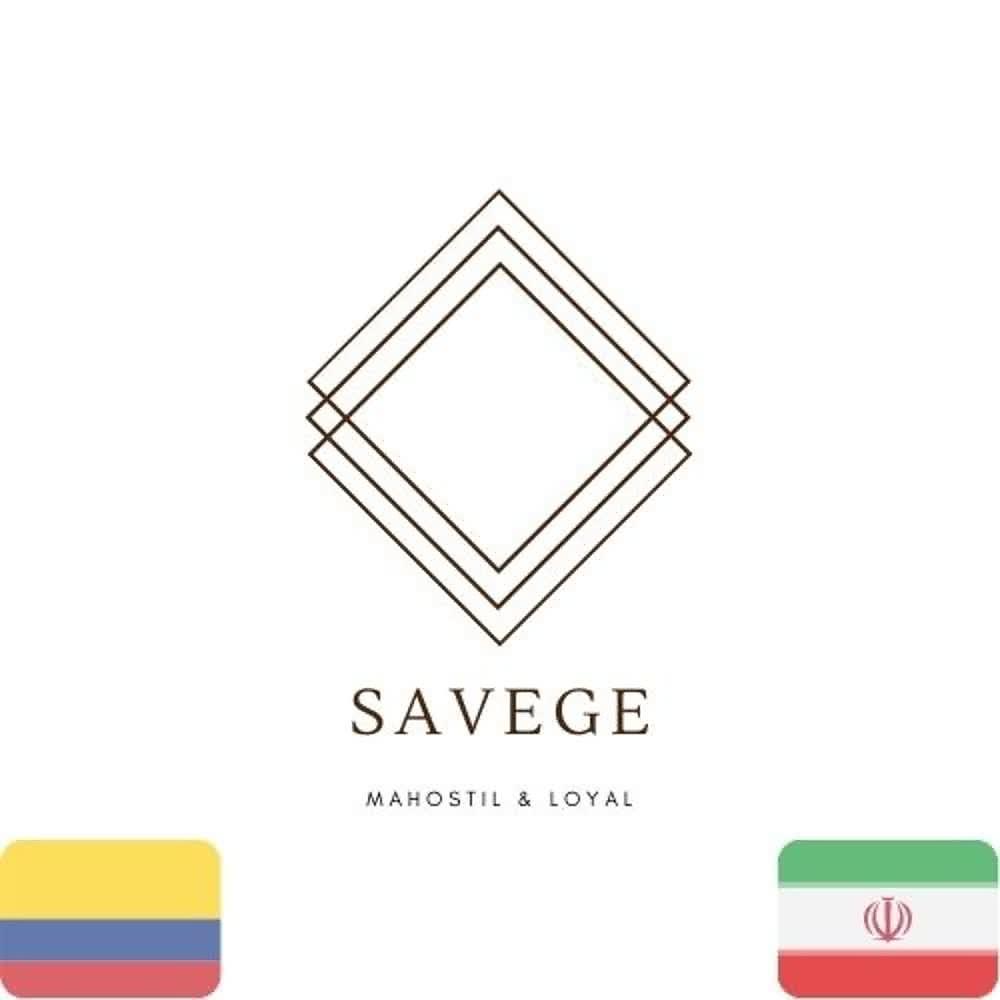 Постер альбома Savege