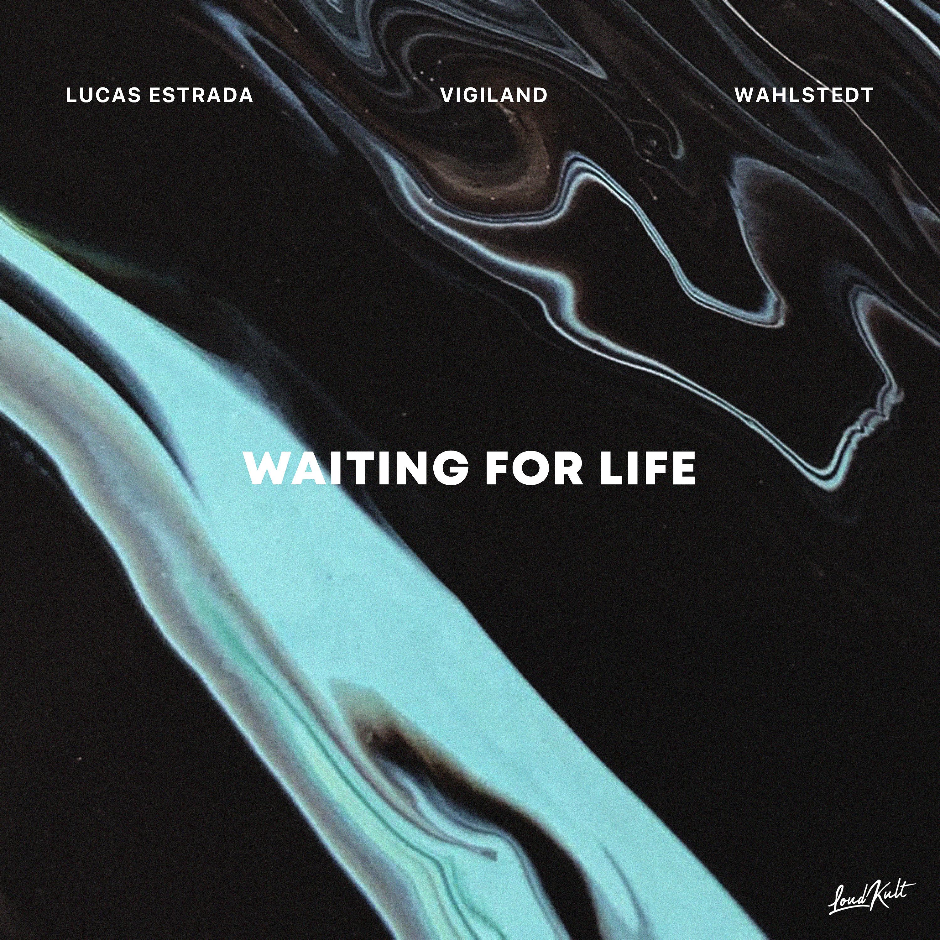 Постер альбома Waiting for Life