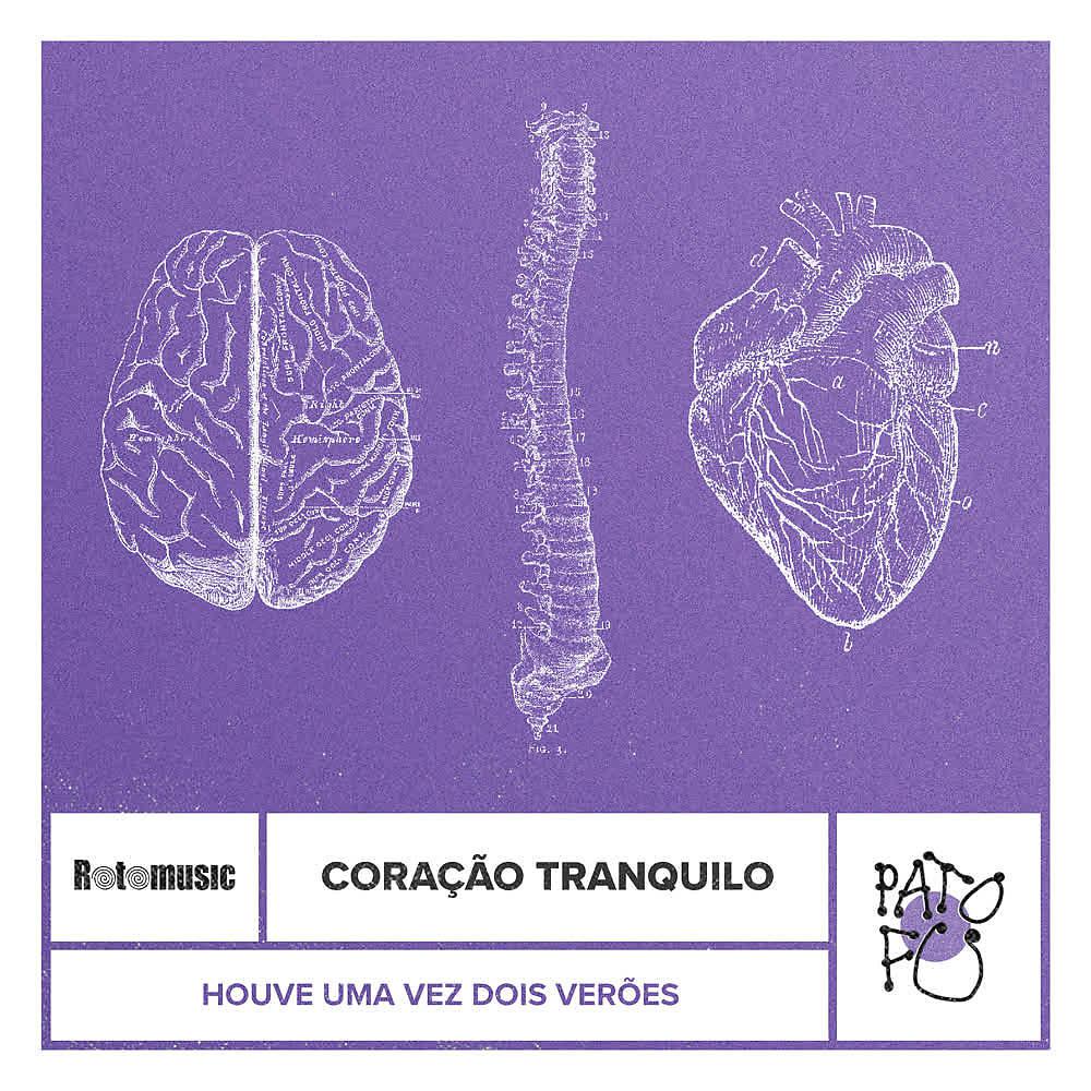Постер альбома Coração Tranquilo (Houve uma Vez Dois Verões)