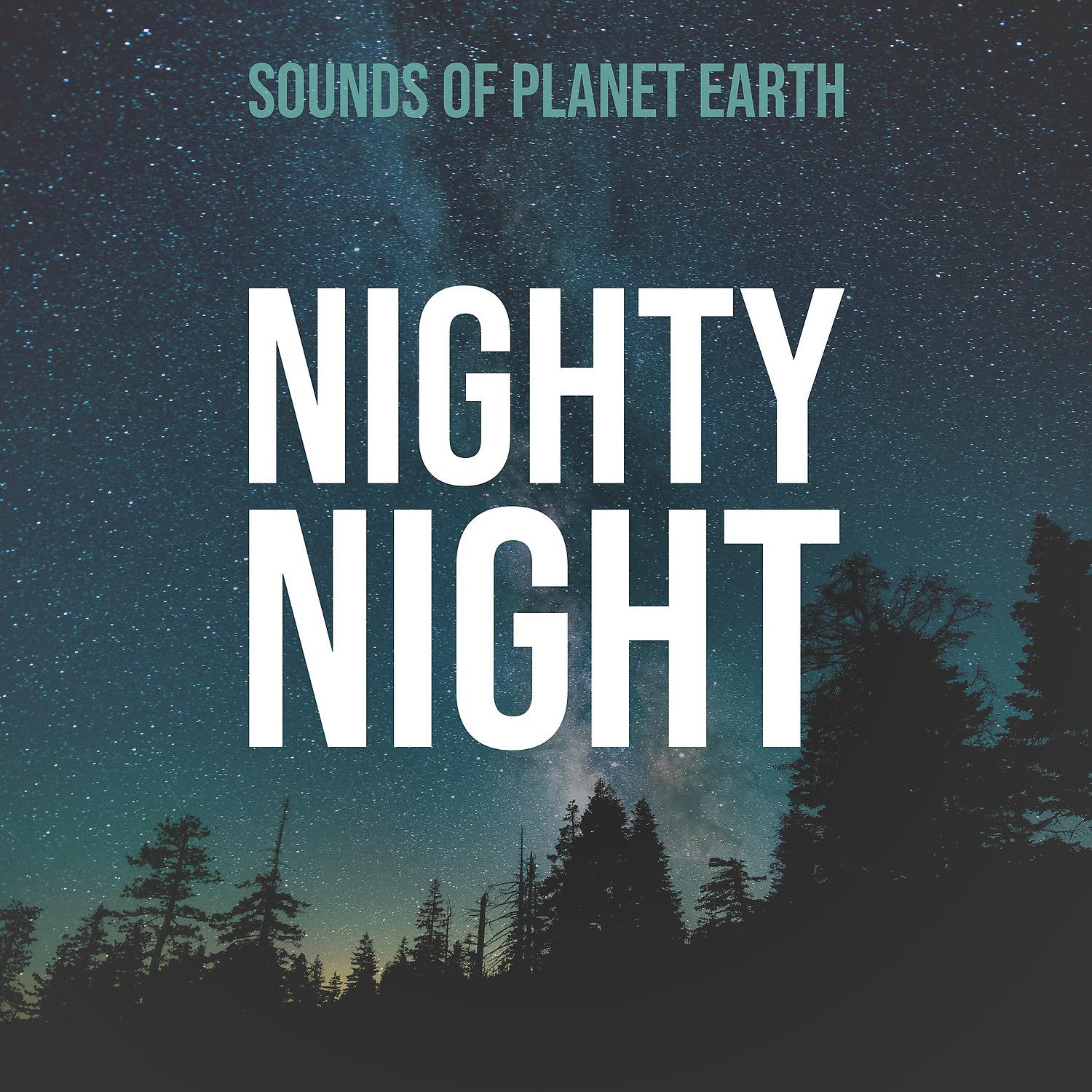 Постер альбома Nighty Night