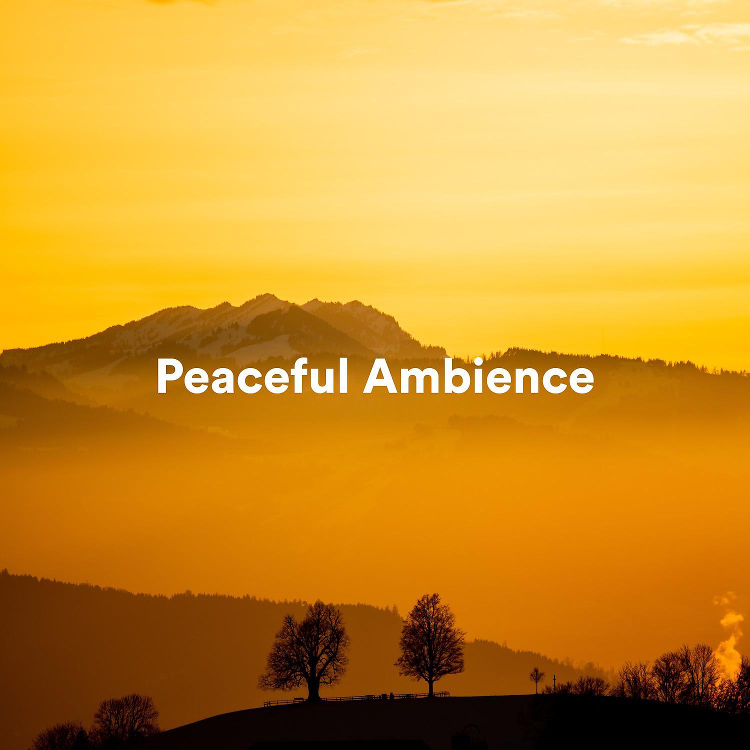 Постер альбома Peaceful Ambience