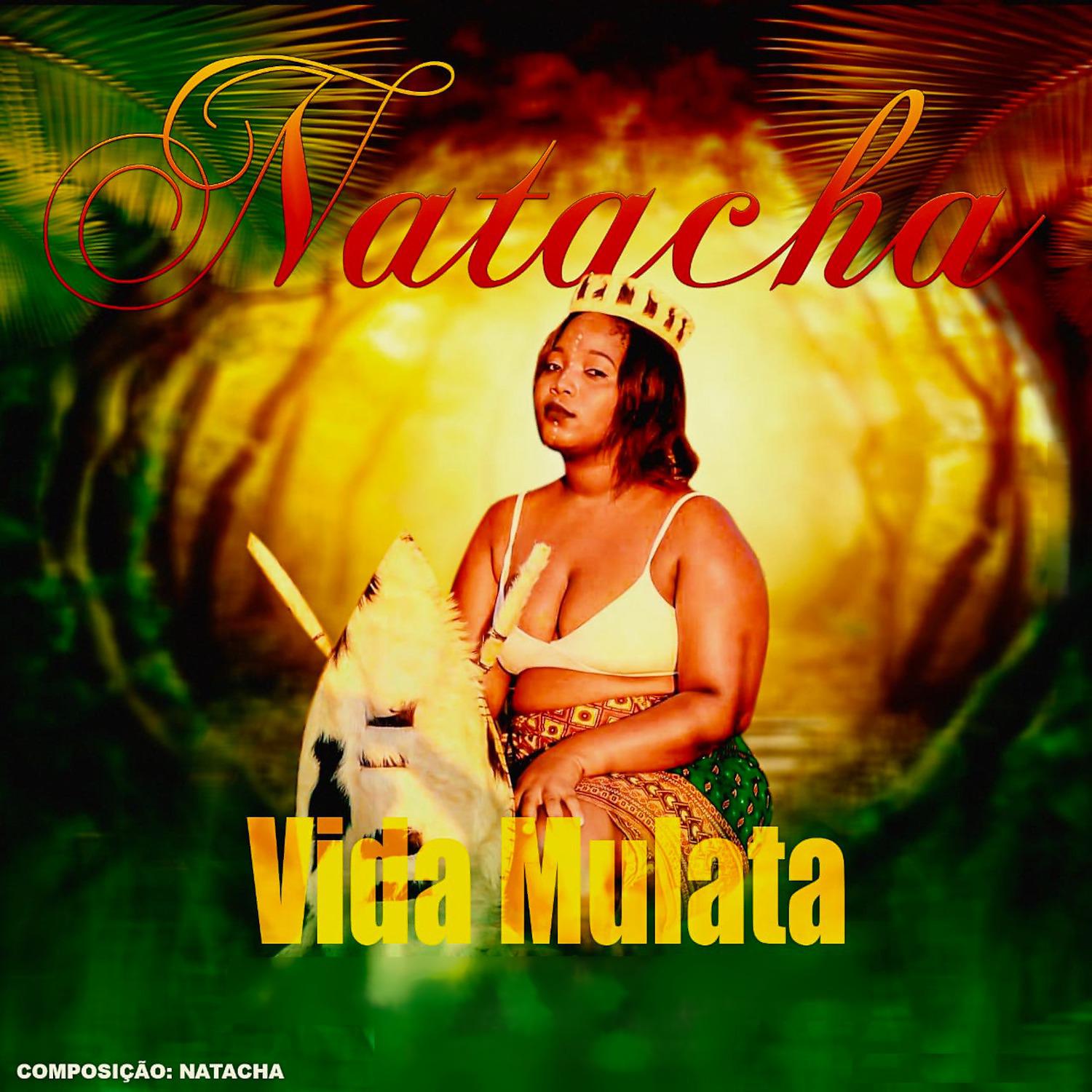 Постер альбома Vida Mulata