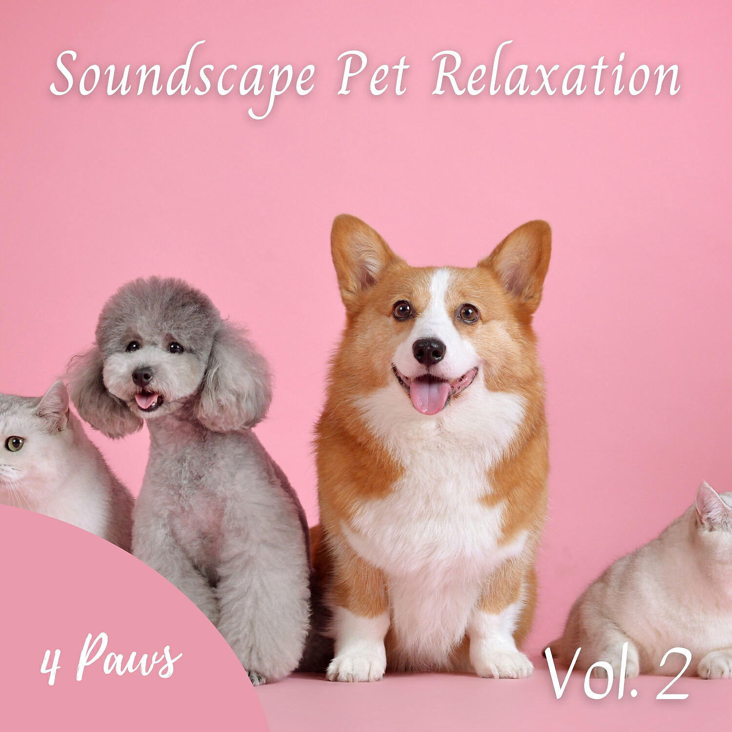 Dog Relaxation - Lean On Me