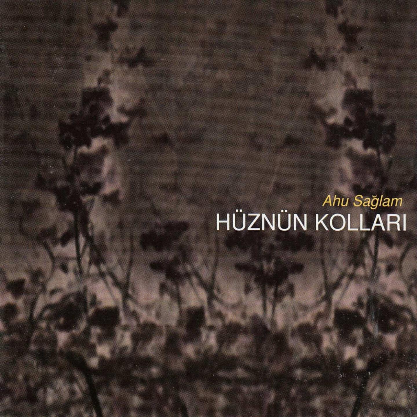 Ahu Sağlam - Dere Akar Bulanık