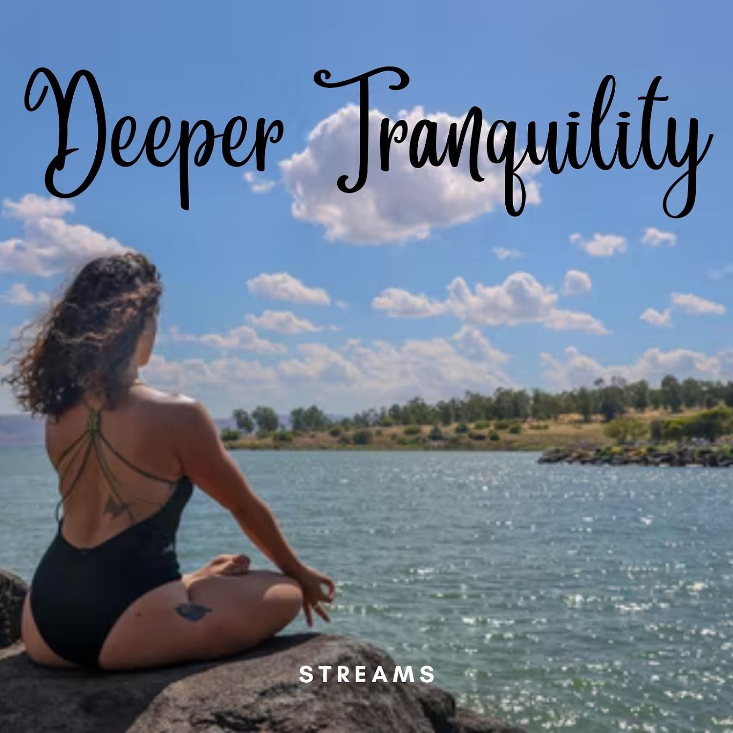 Постер альбома Streams: Deeper Tranquility