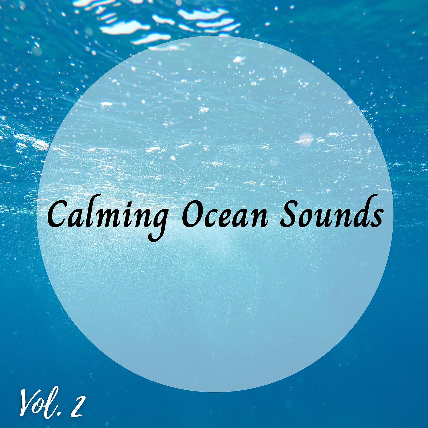 Постер альбома Calming Ocean Sounds Vol. 2
