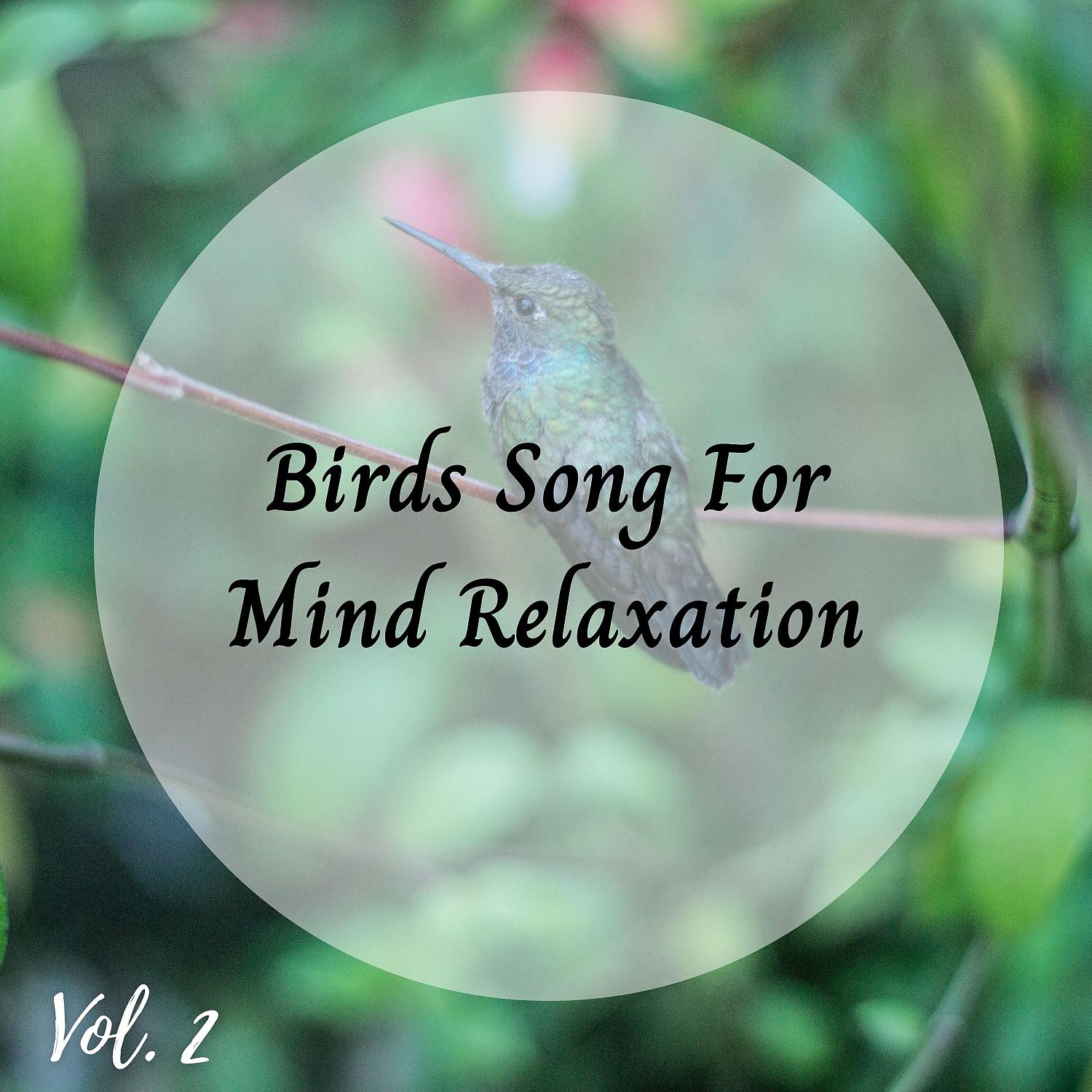 Постер альбома Birds Song For Mind Relaxation Vol. 2