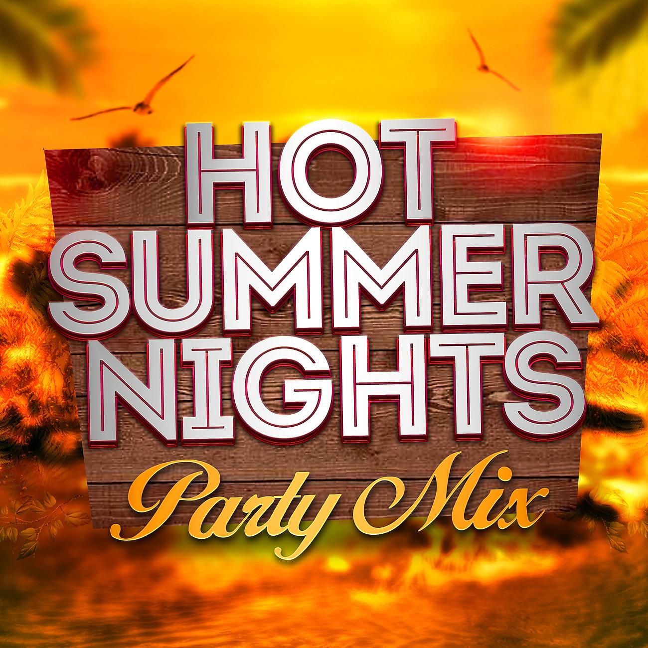 Постер альбома Hot Summer Nights Party Mix