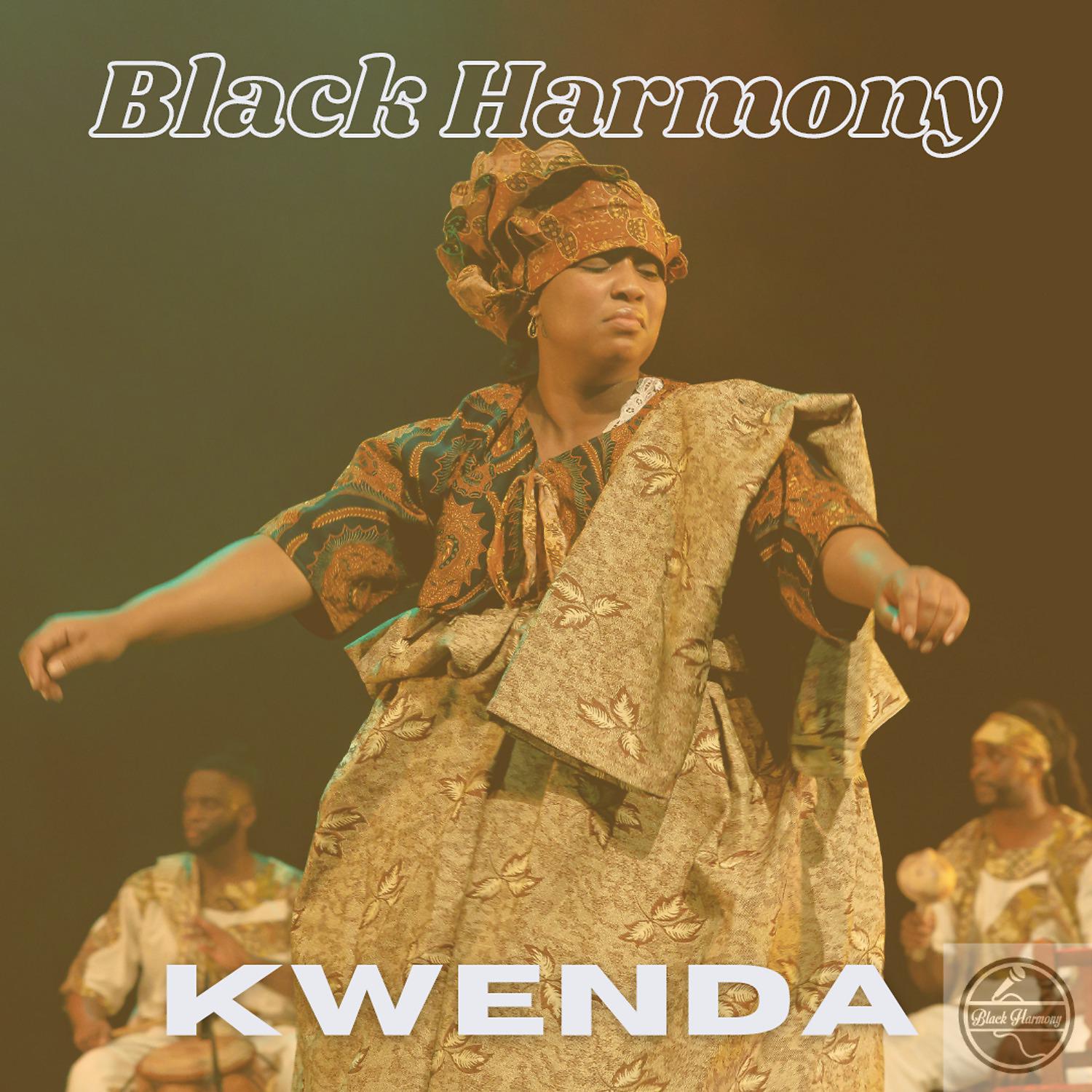Постер альбома Kwenda