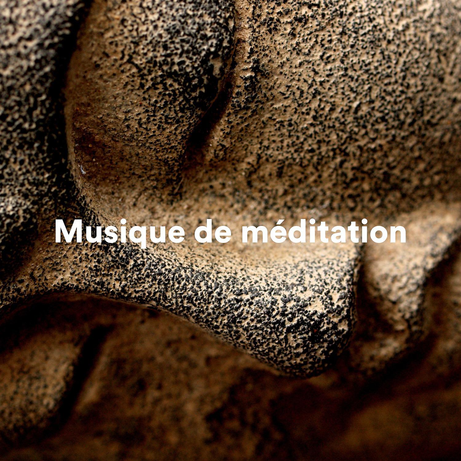 Постер альбома Musique de méditation