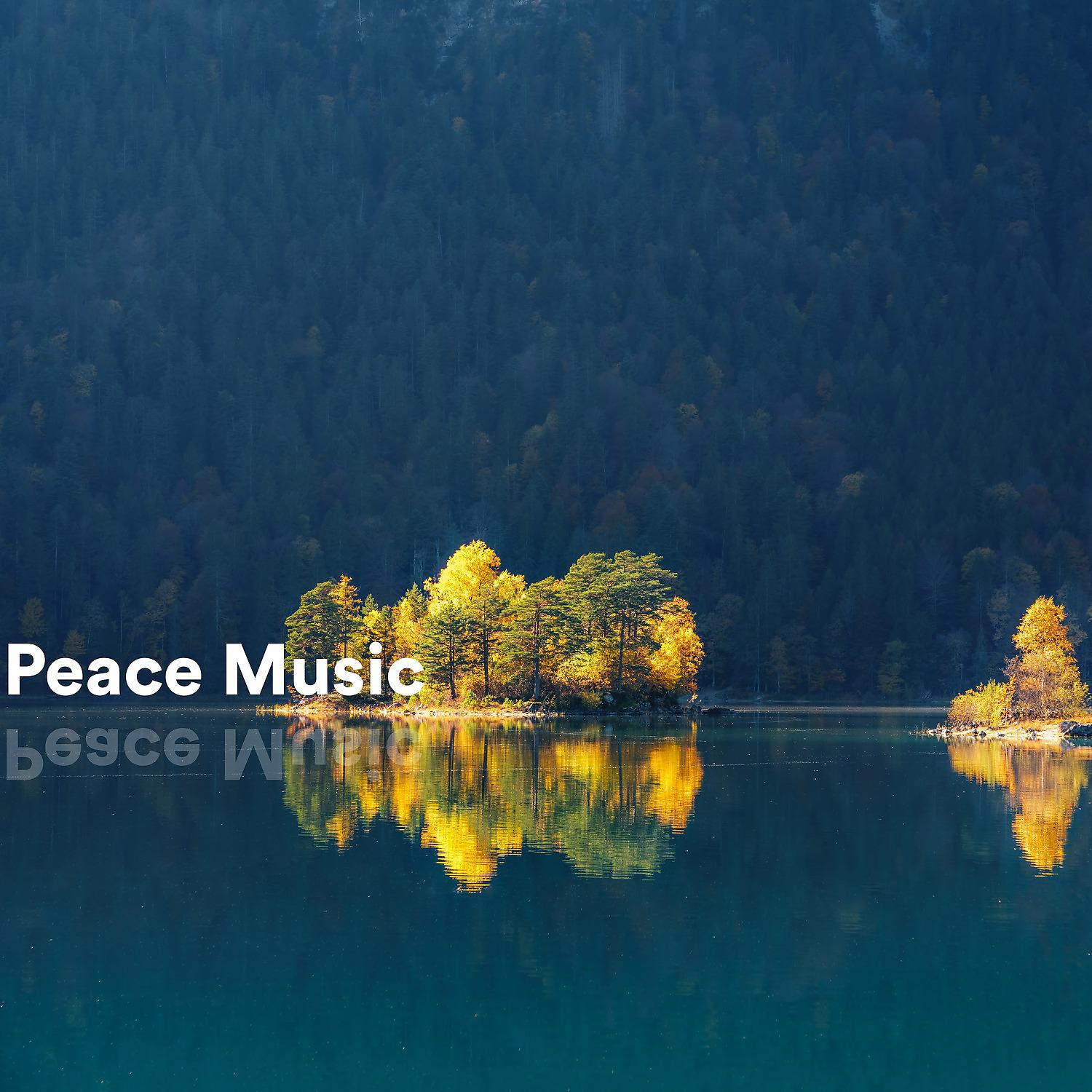 Постер альбома Peace Music