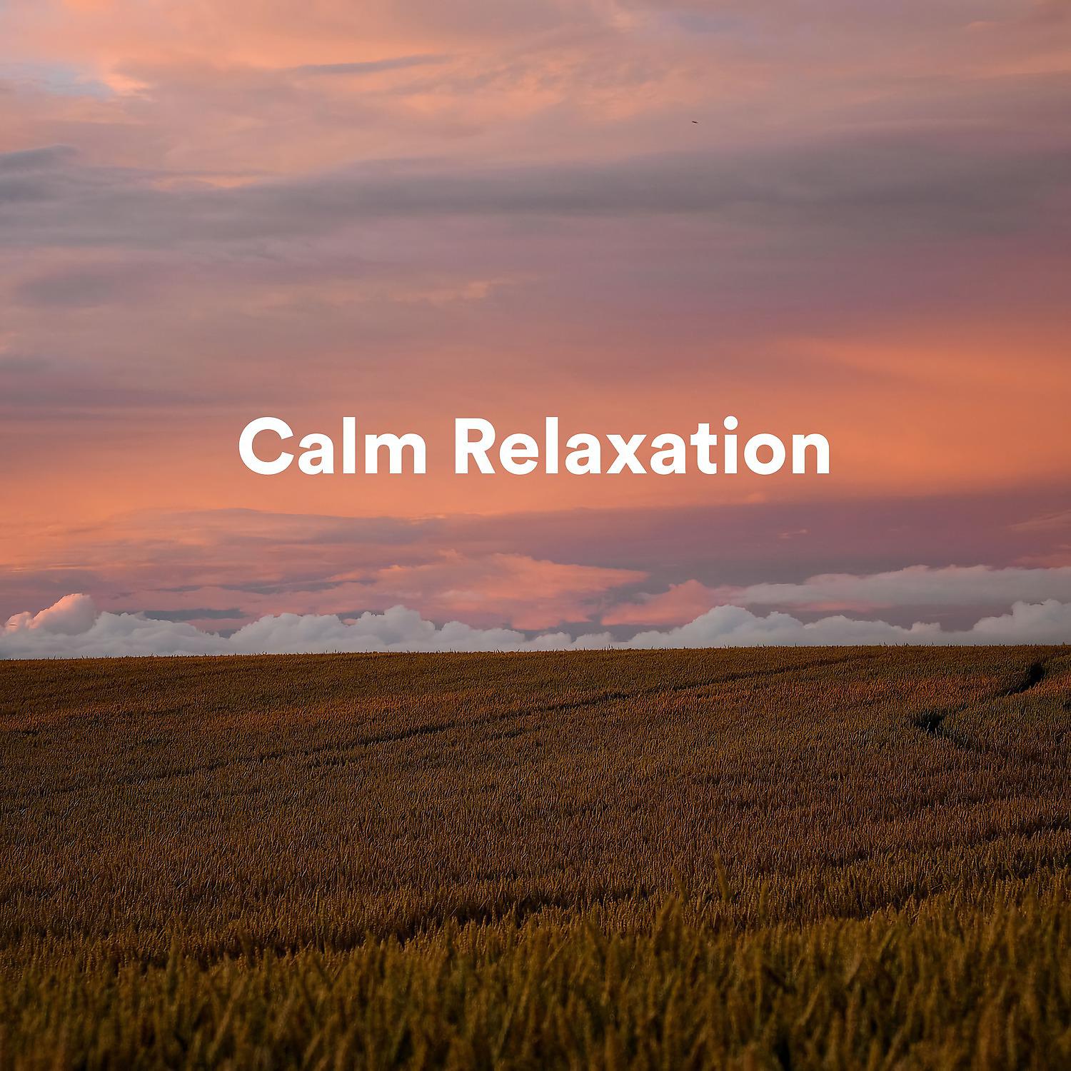 Постер альбома Calm Relaxation