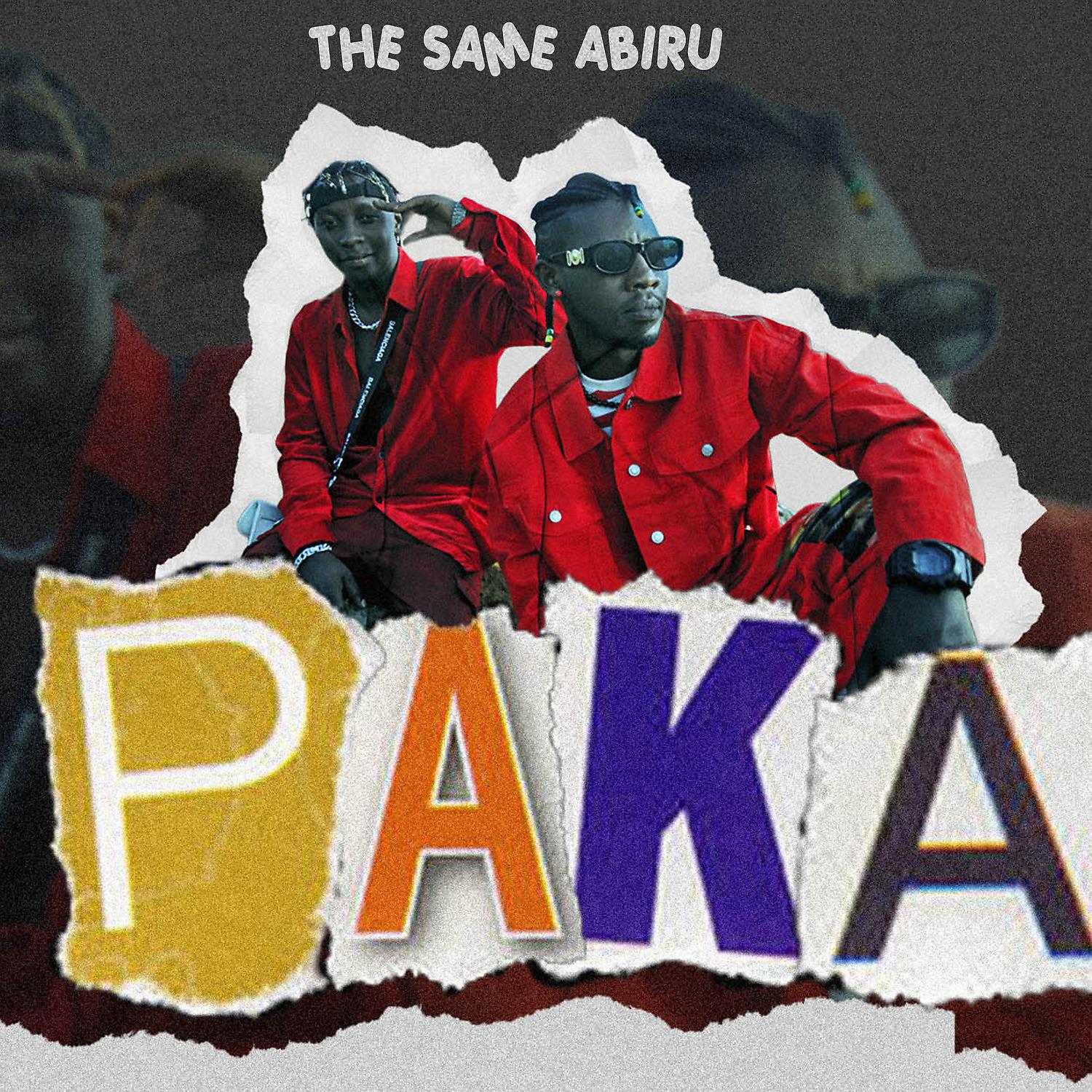 Постер альбома Paka