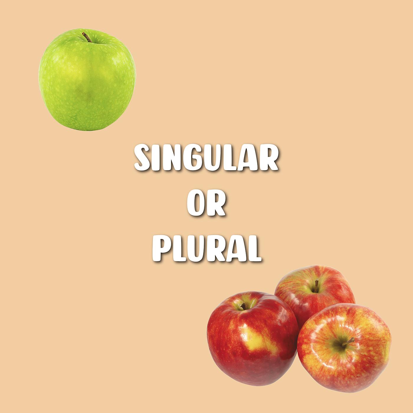 Постер альбома Singular Or Plural
