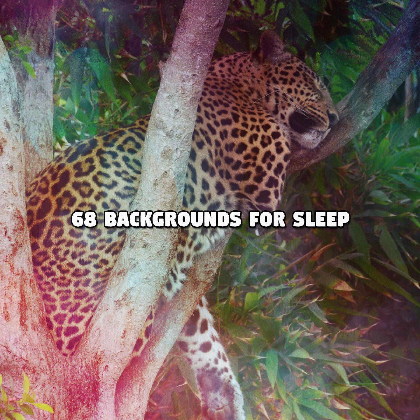 Постер альбома 68 Backgrounds For Sleep