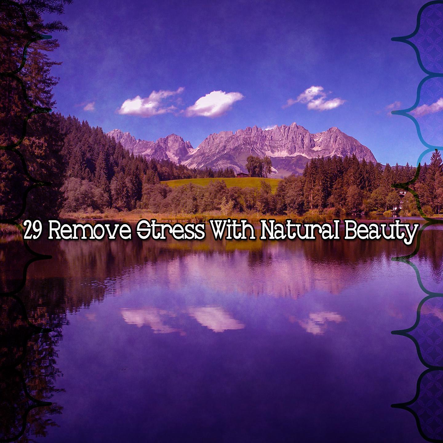 Постер альбома 29 Снимите стресс с помощью естественной красоты