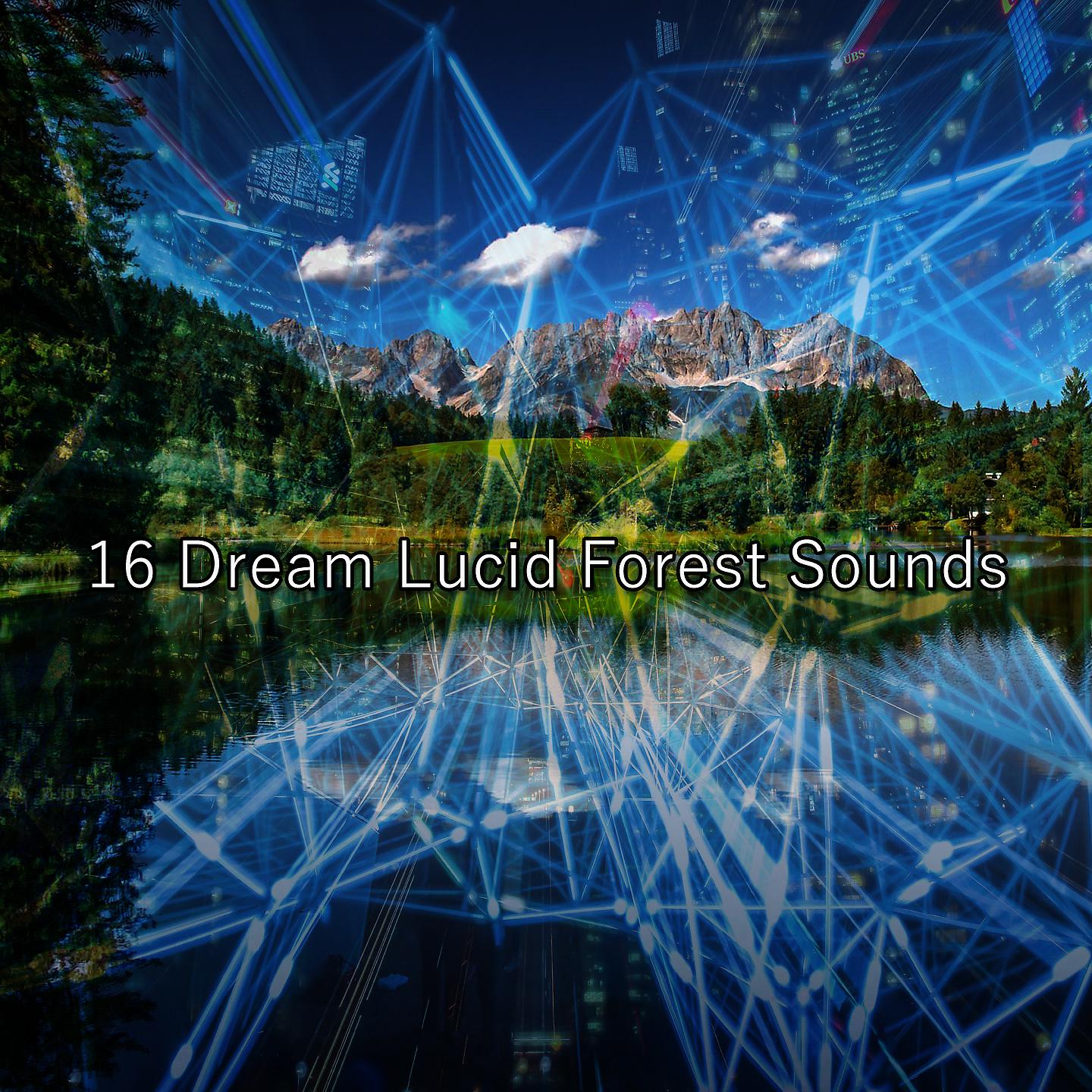 Постер альбома 16 Звуков Мечты Осознанного Леса
