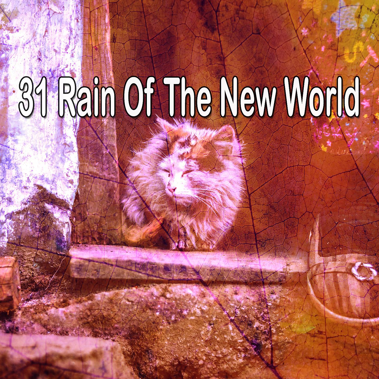 Постер альбома 31 Дождь Нового Света