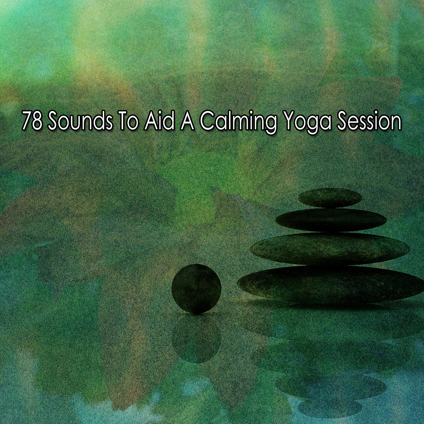 Постер альбома 78 Sounds To Aid A Calming Yoga Session