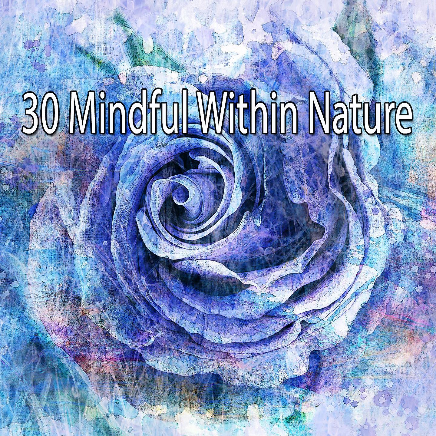 Постер альбома 30 Сознательность в природе