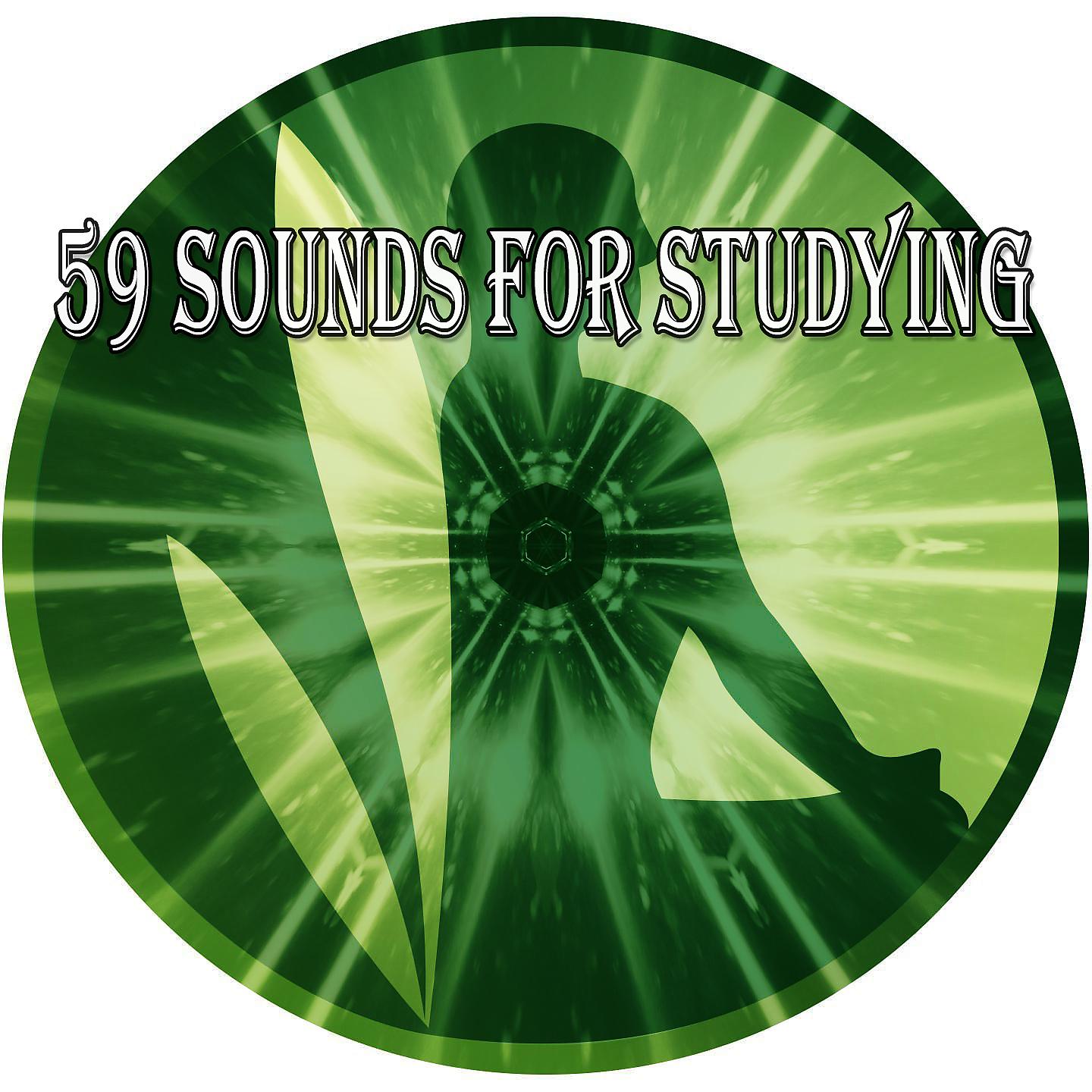 Постер альбома 59 звуков для учебы