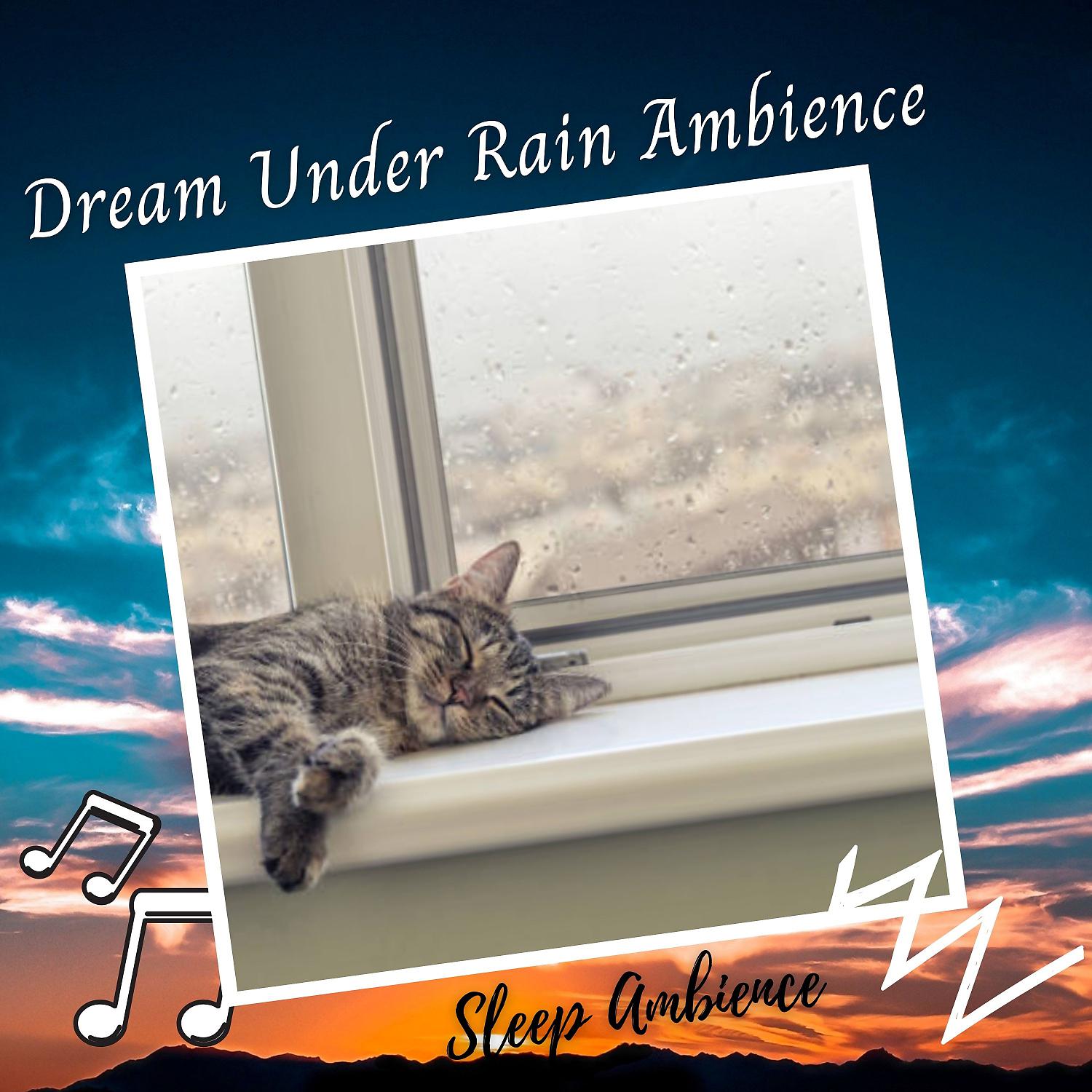 Постер альбома Dream Under Rain Ambience - 1 Hour